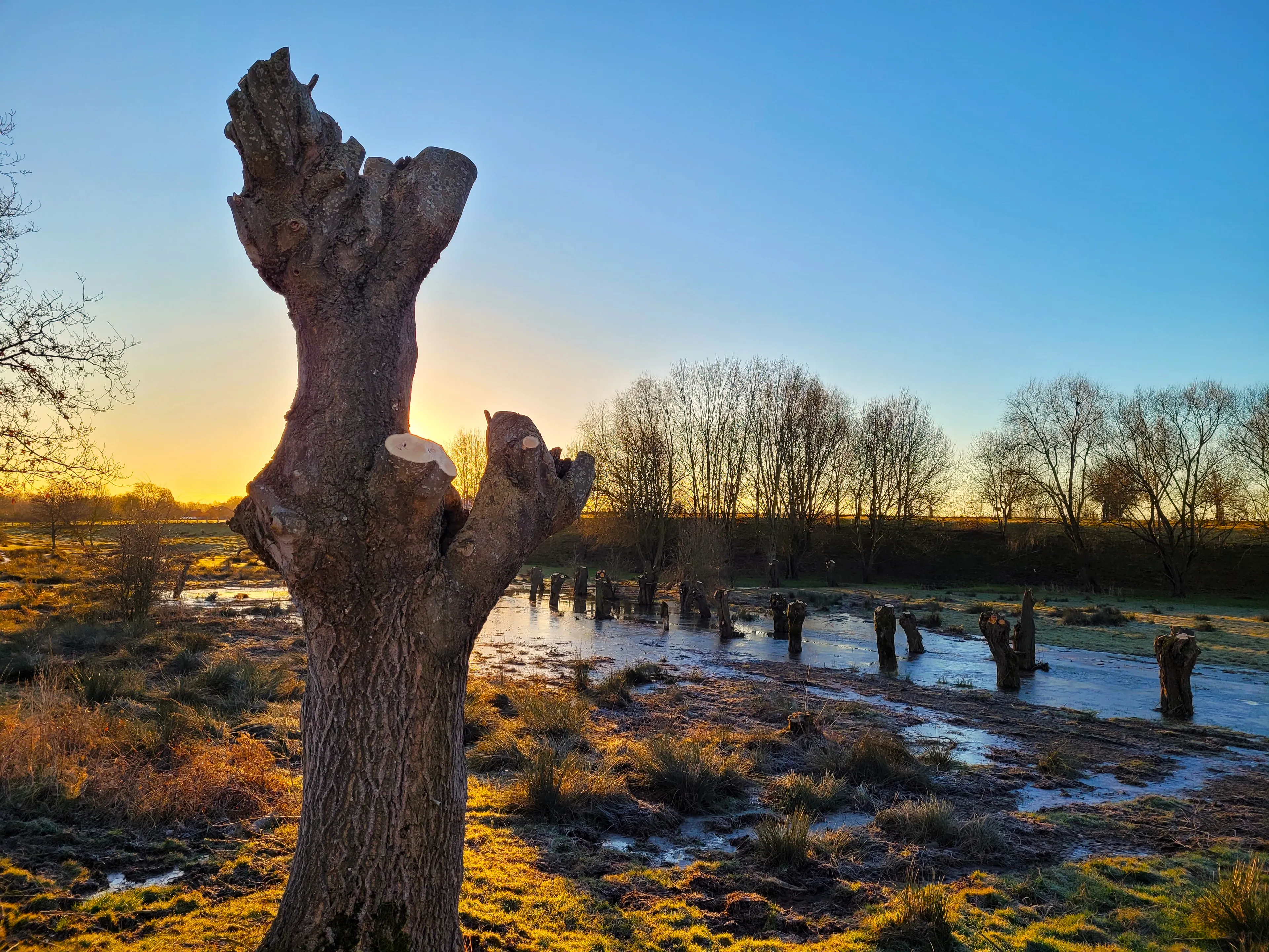 Dag begint koud en zonnig, later meer bewolking en regen