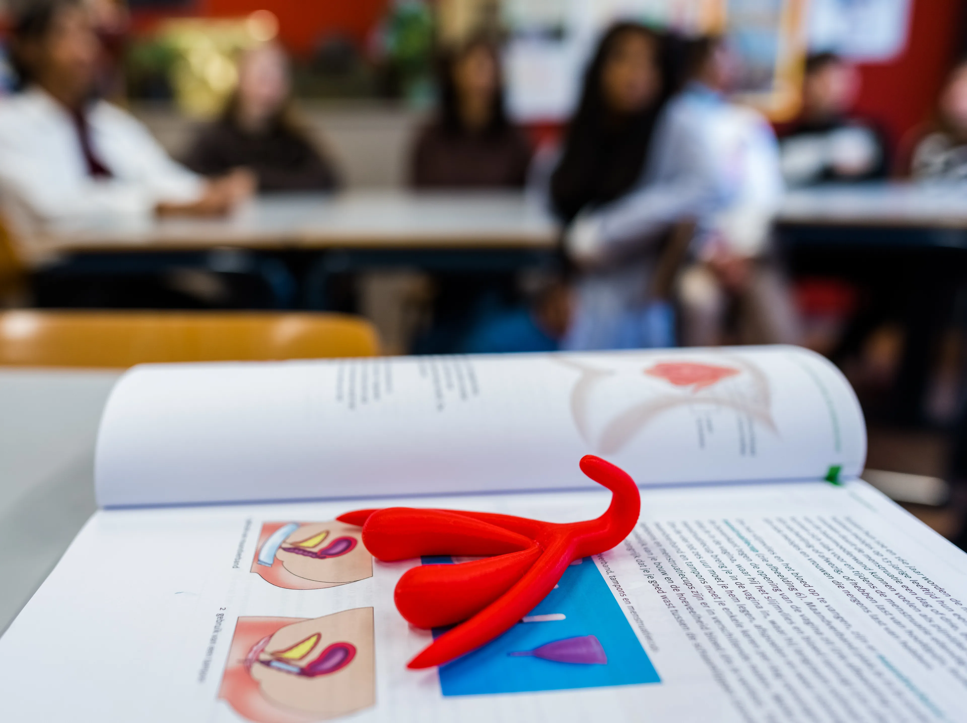 Seksuele voorlichting op jonge leeftijd: schadelijk of juist verstandig?