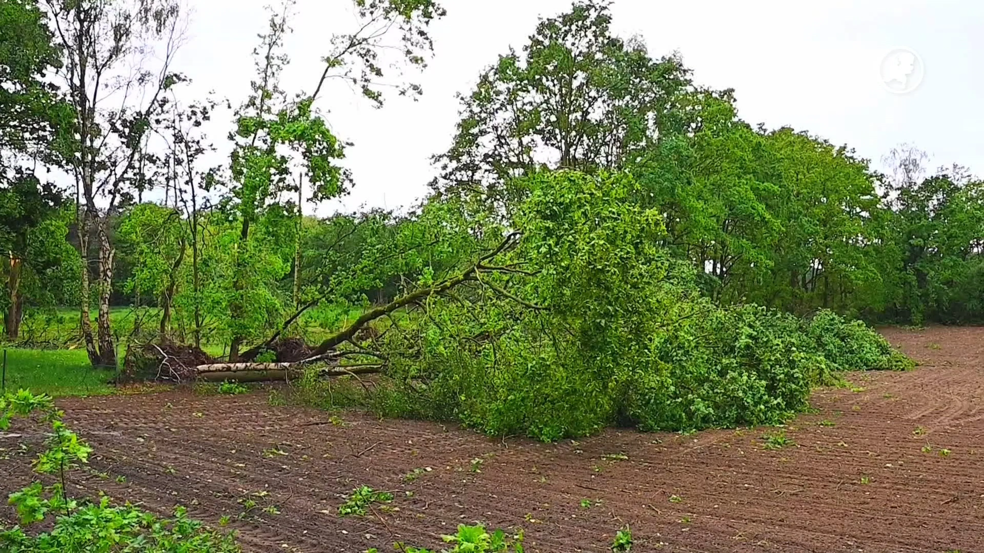 Windhoos zorgt voor flinke schade in Eersel