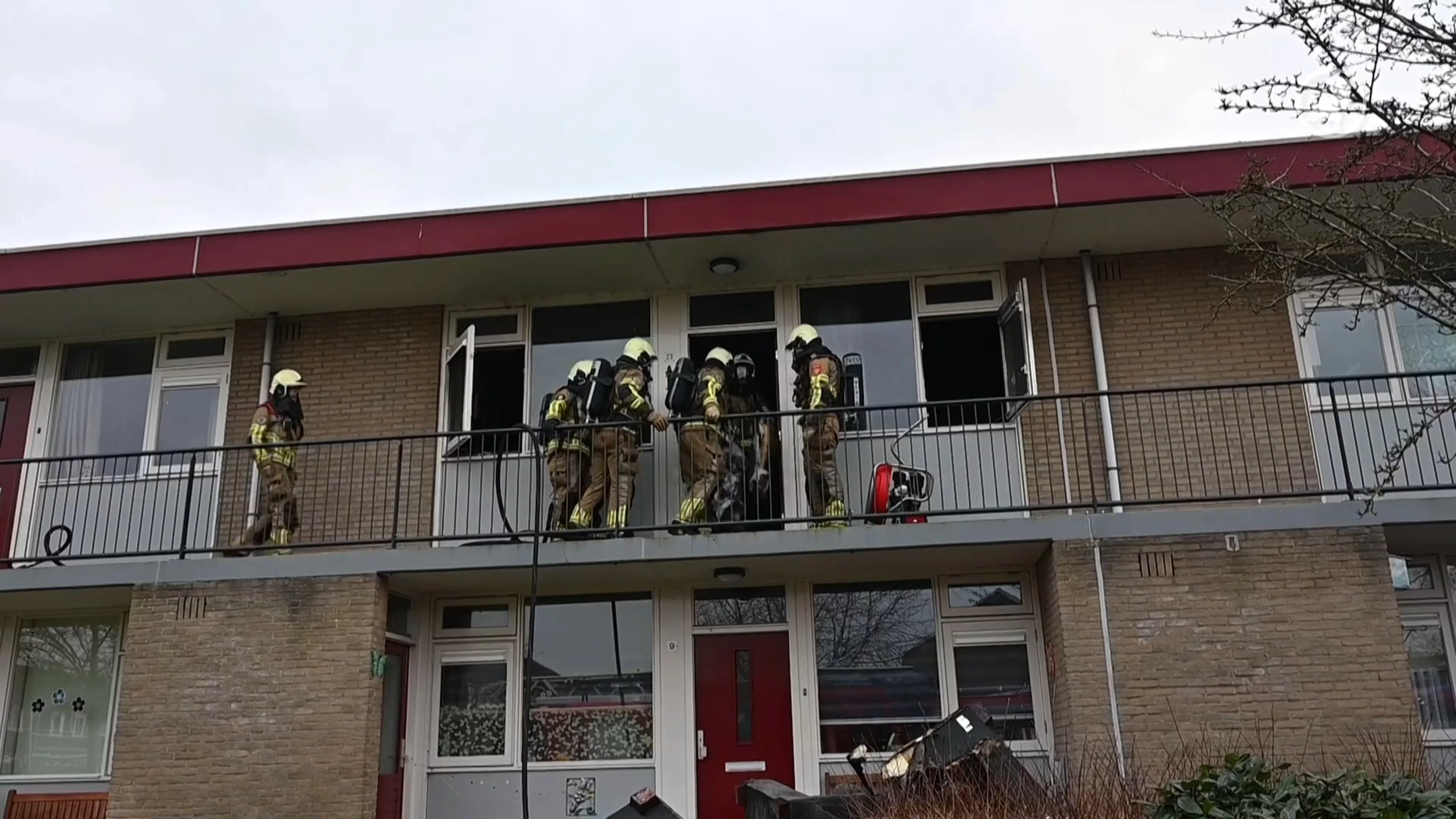 Twee honden gered bij woningbrand in Almelo