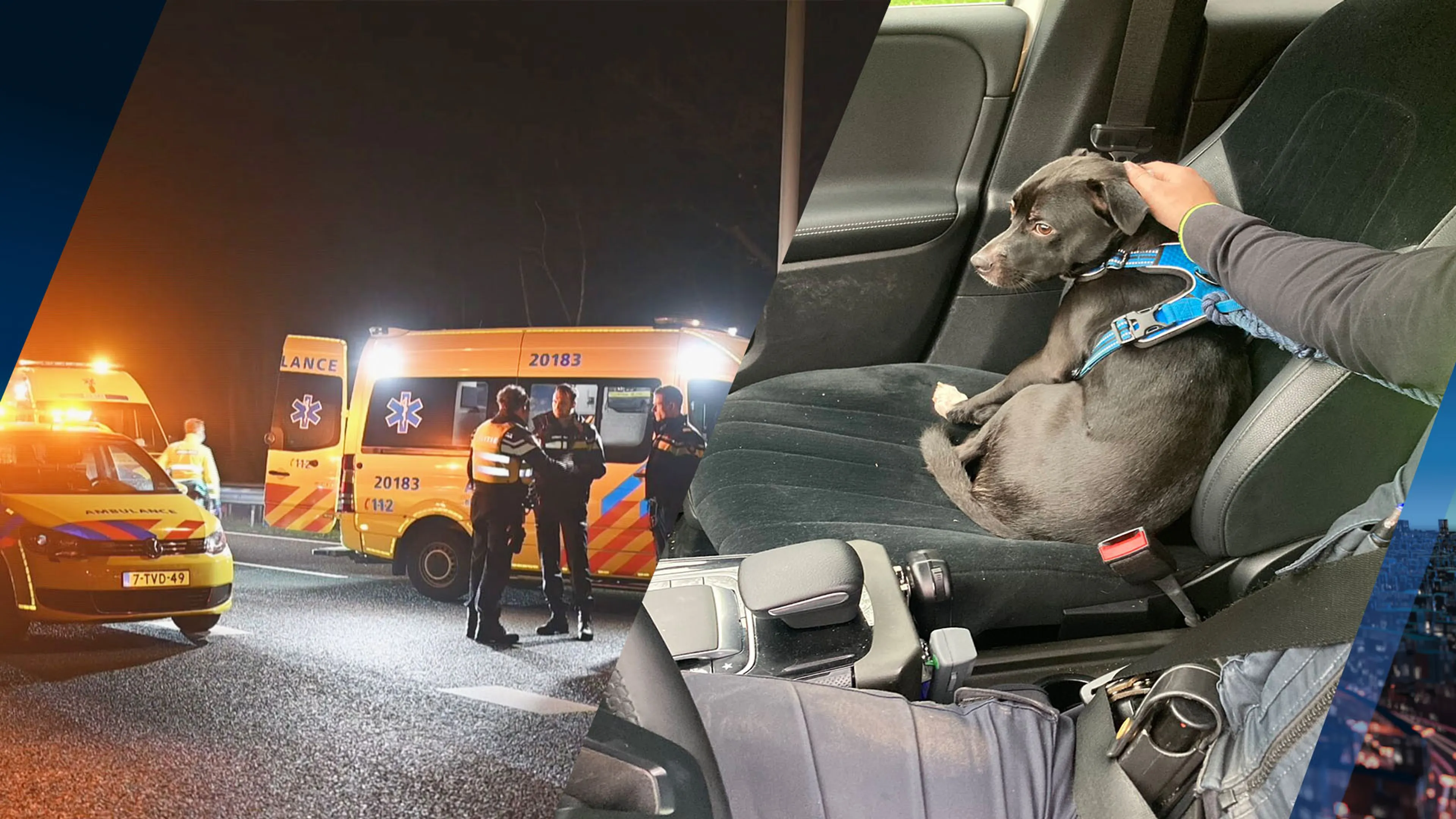 Dode bij snelwegongeval A58 blijkt Duitser (39), hond inmiddels terecht