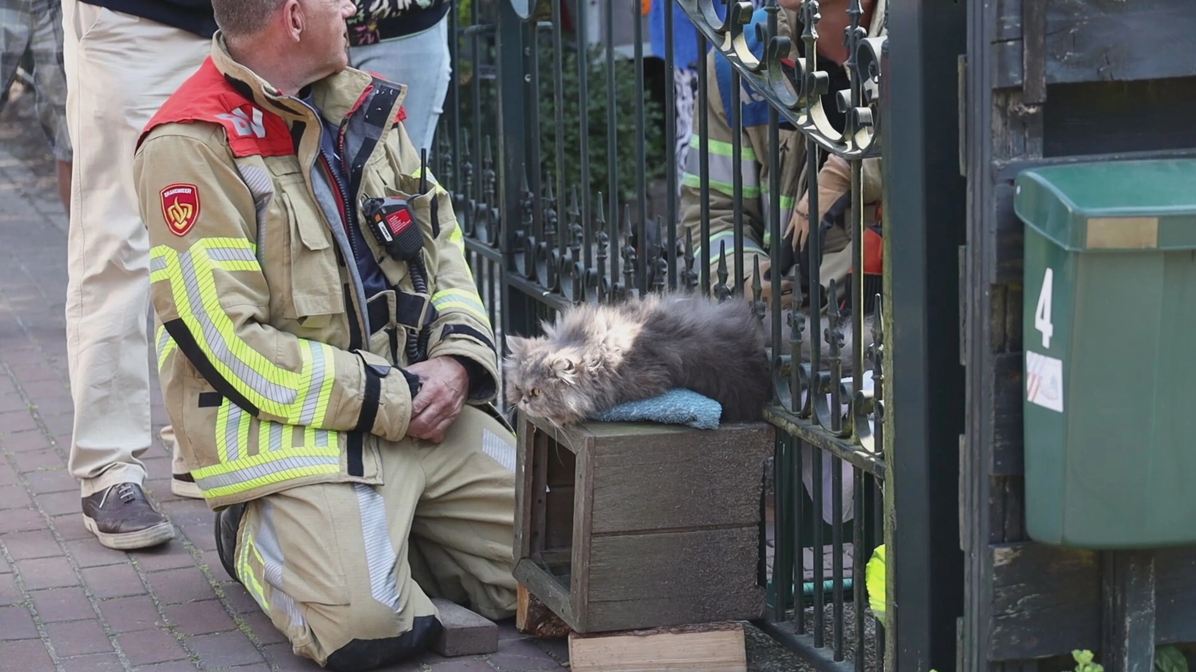 Brandweer redt kater (Holle Bolle) Gijs uit sierhek in Laren