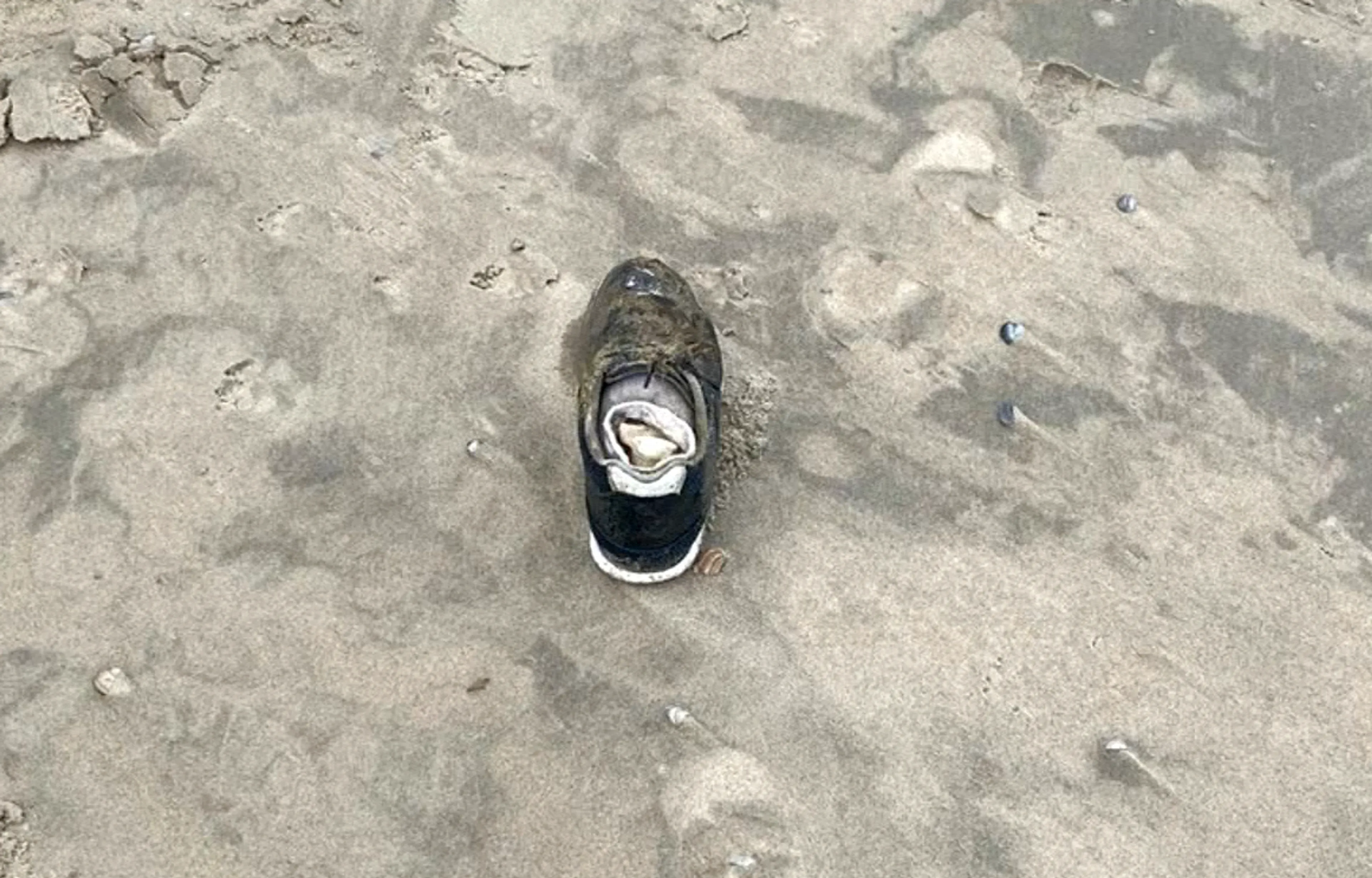 Gevonden lichaamsdelen op strand Texel zijn van twee mannen