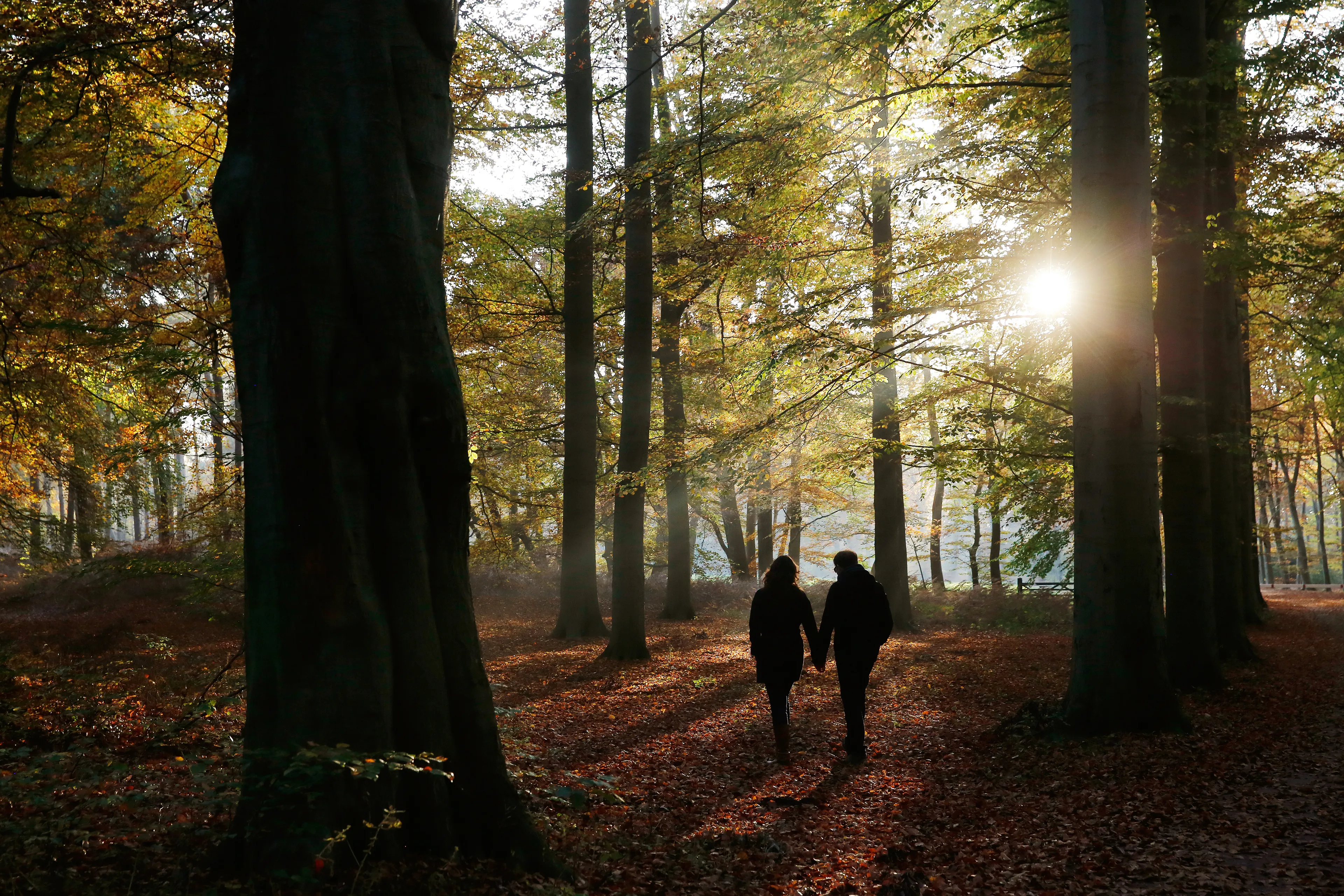 Herfstachtig weer houdt aan: temperatuur gaat wel omhoog dit weekend