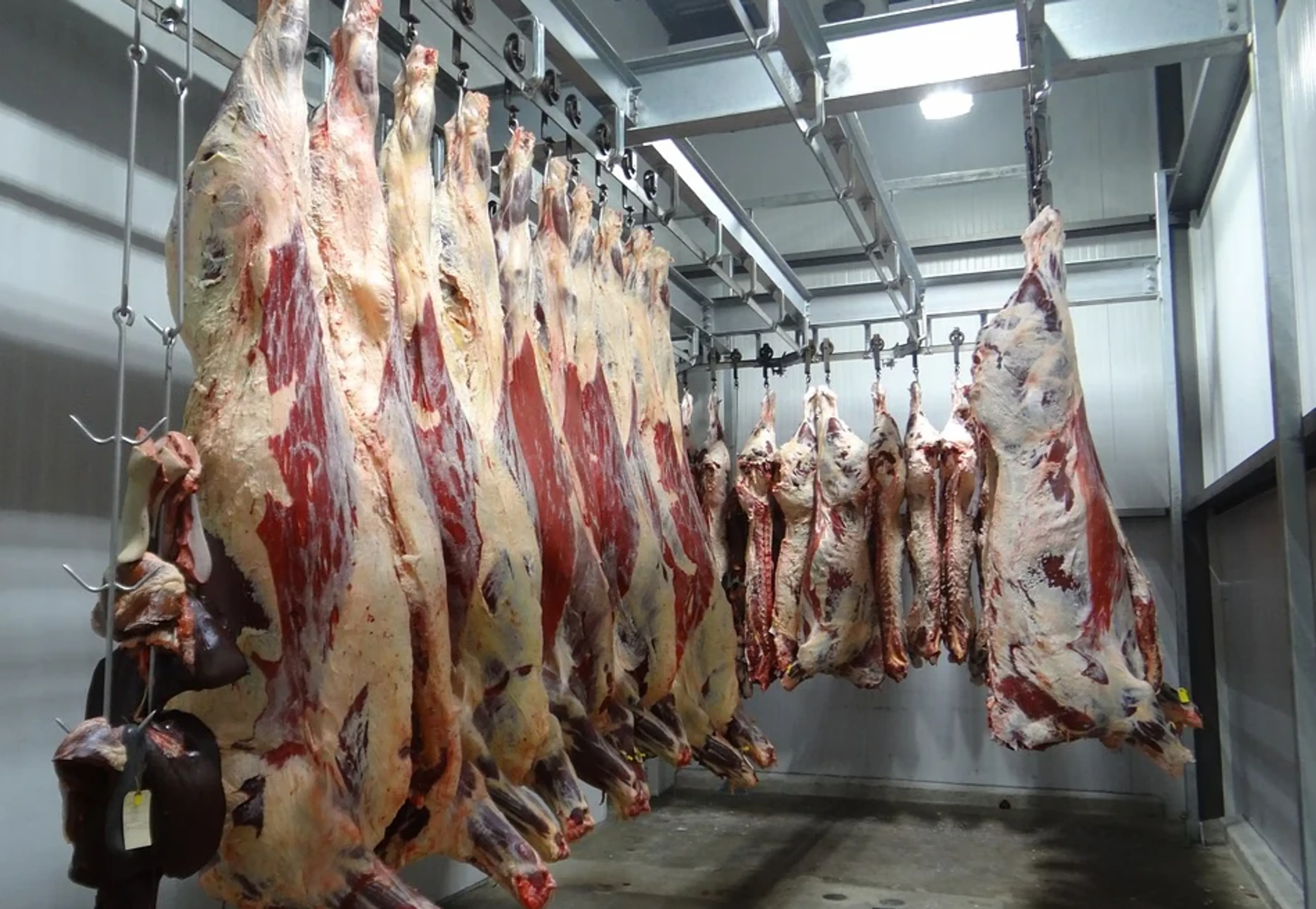 Slachthuis Vion in Groenlo per direct dicht vanwege corona