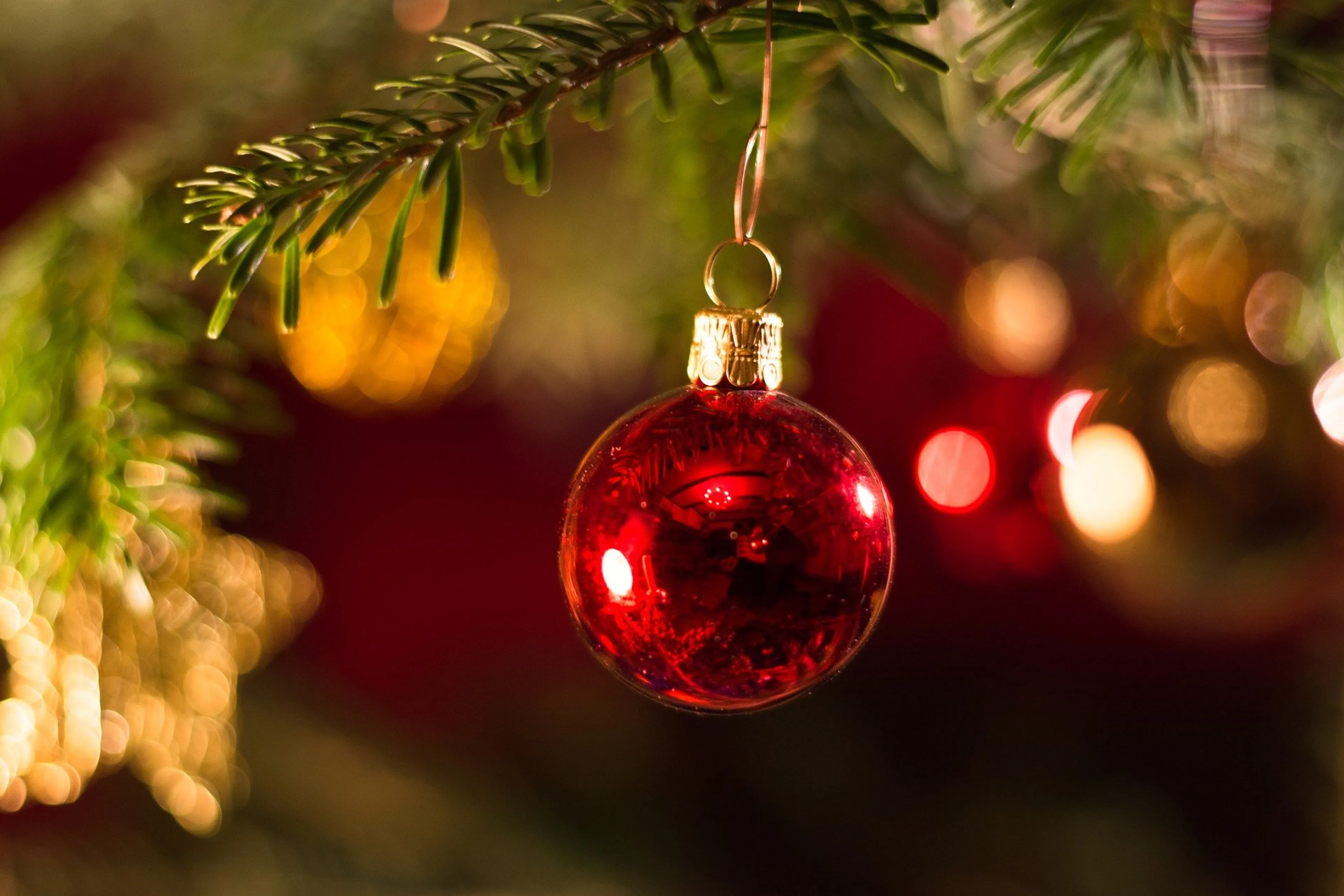 Droombaan voor kerstfreaks: tuincentrum zoekt hartje zomer opbouwer voor kerstshow