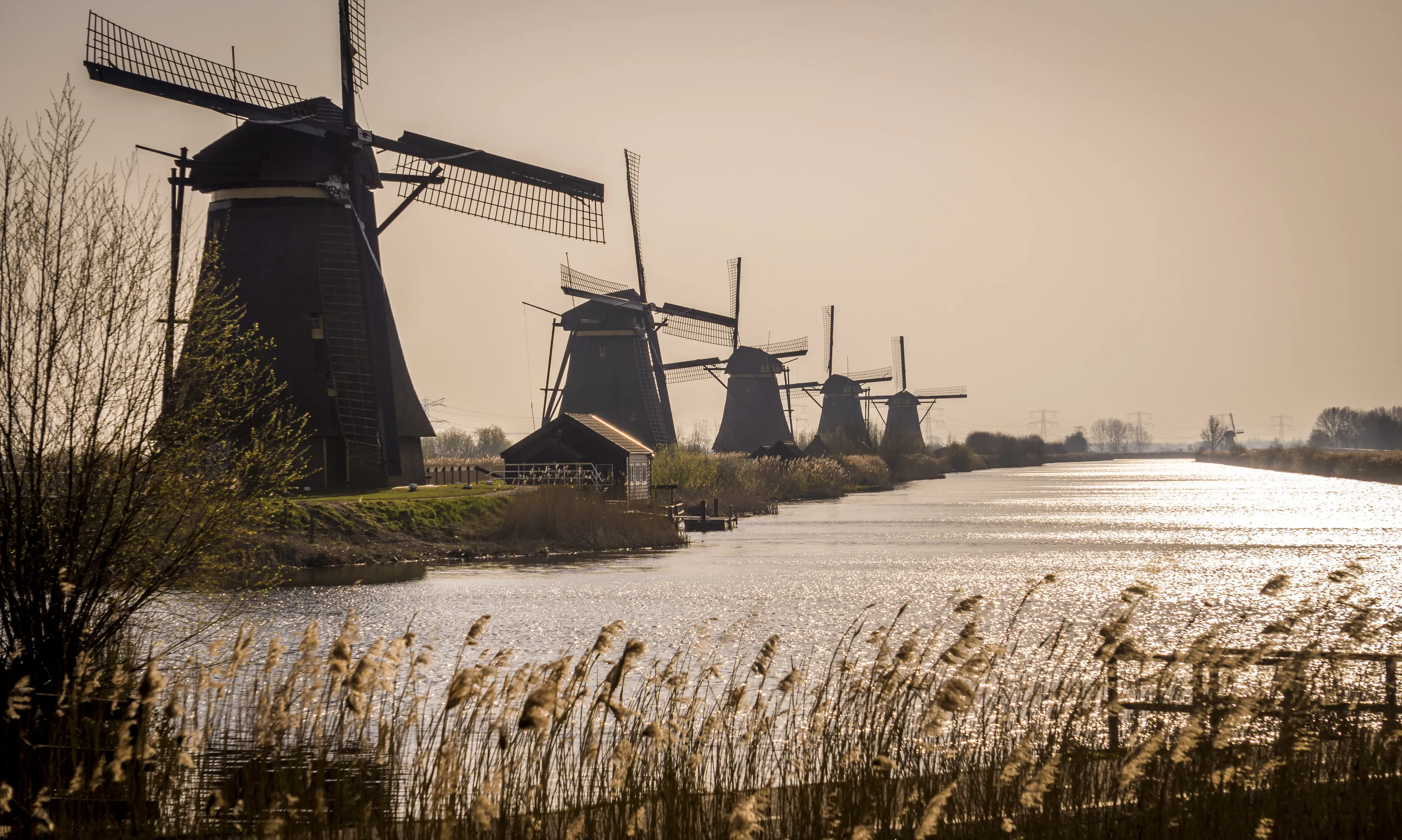 Voorjaarsgevoel houdt nog even stand, daarna wisselvalliger weer