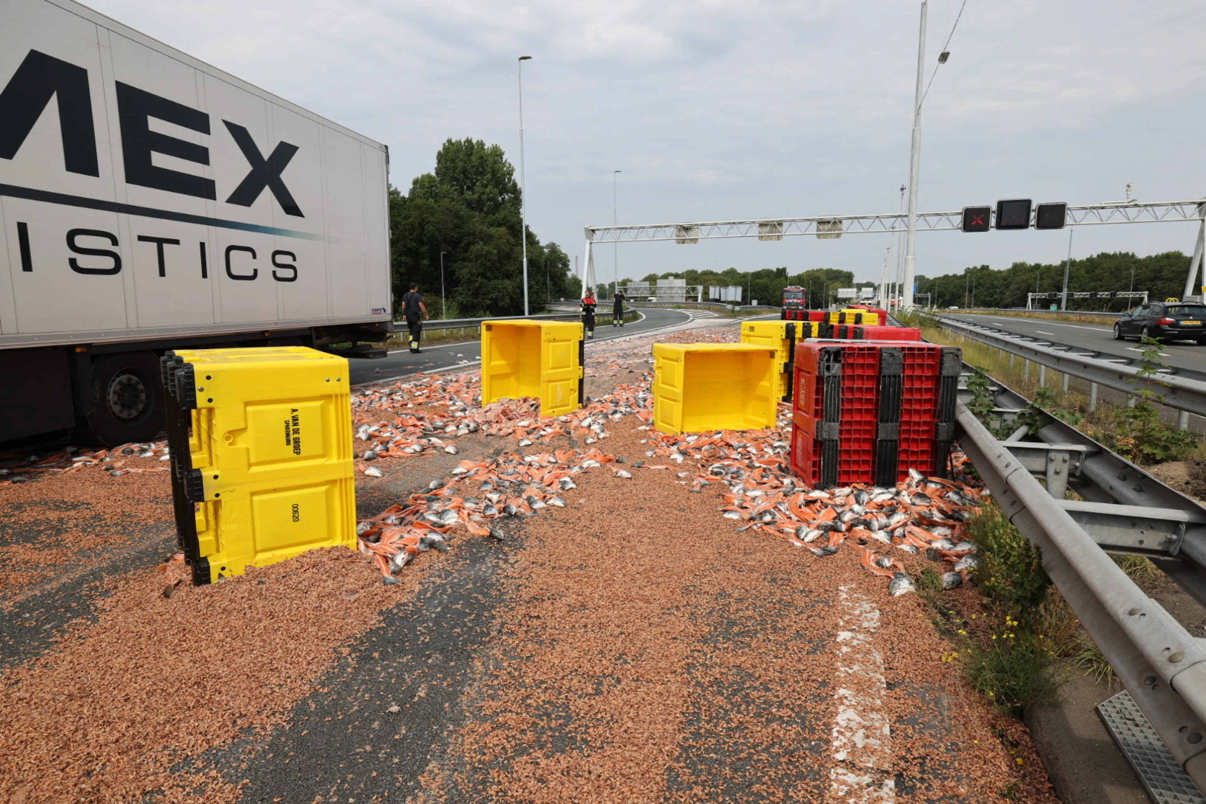 Letterlijke visafslag: A22 afgesloten vanwege lading vis, snelweg nog uren dicht