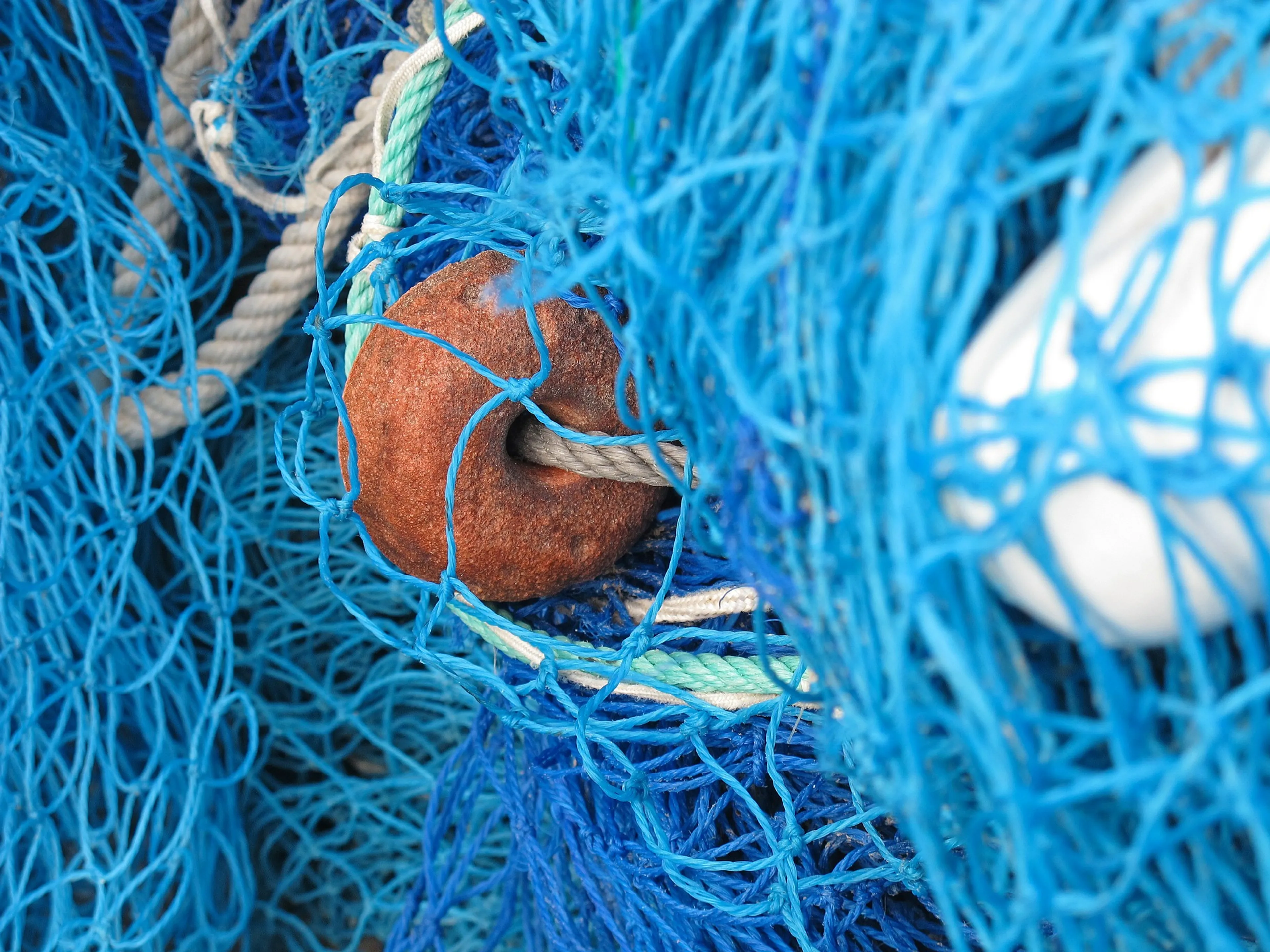 Schipper haalt met visnetten een lugubere vangst binnen