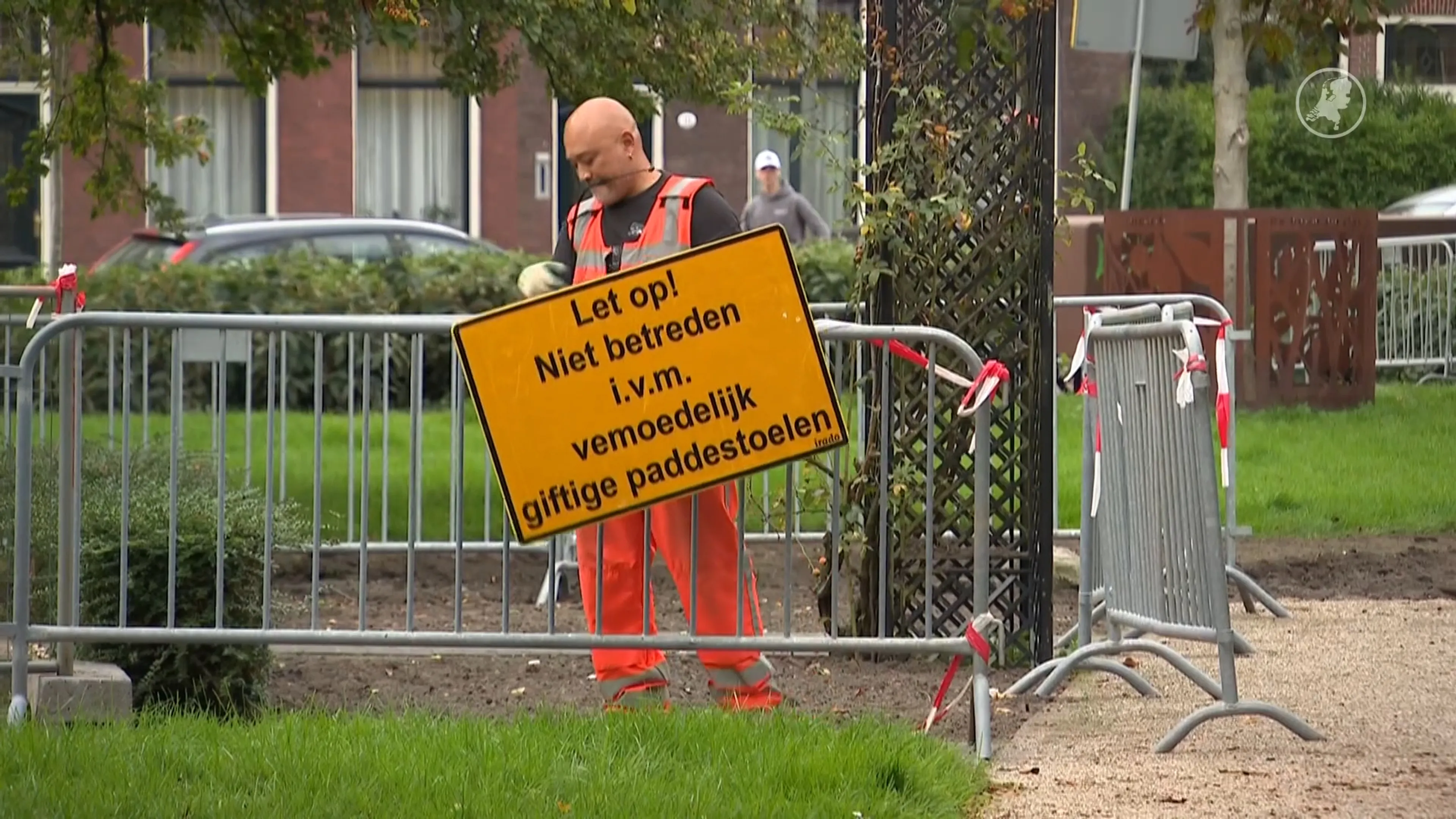 Hond Macy overlijdt na wandeling in Schiedam: ‘Het is een nachtmerrie’