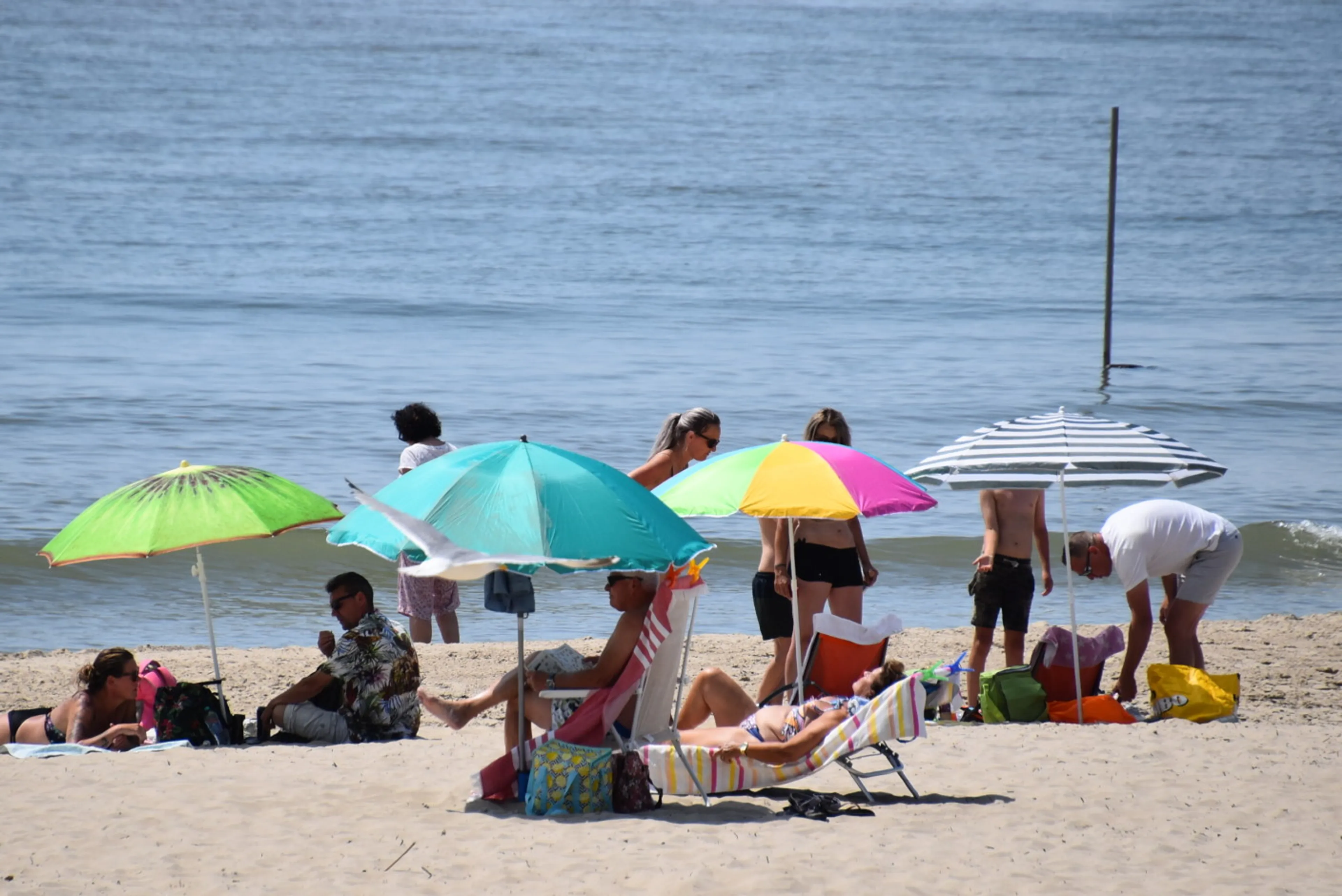 Na regen komt zonneschijn: eindelijk onderweg naar tropisch zomerweer
