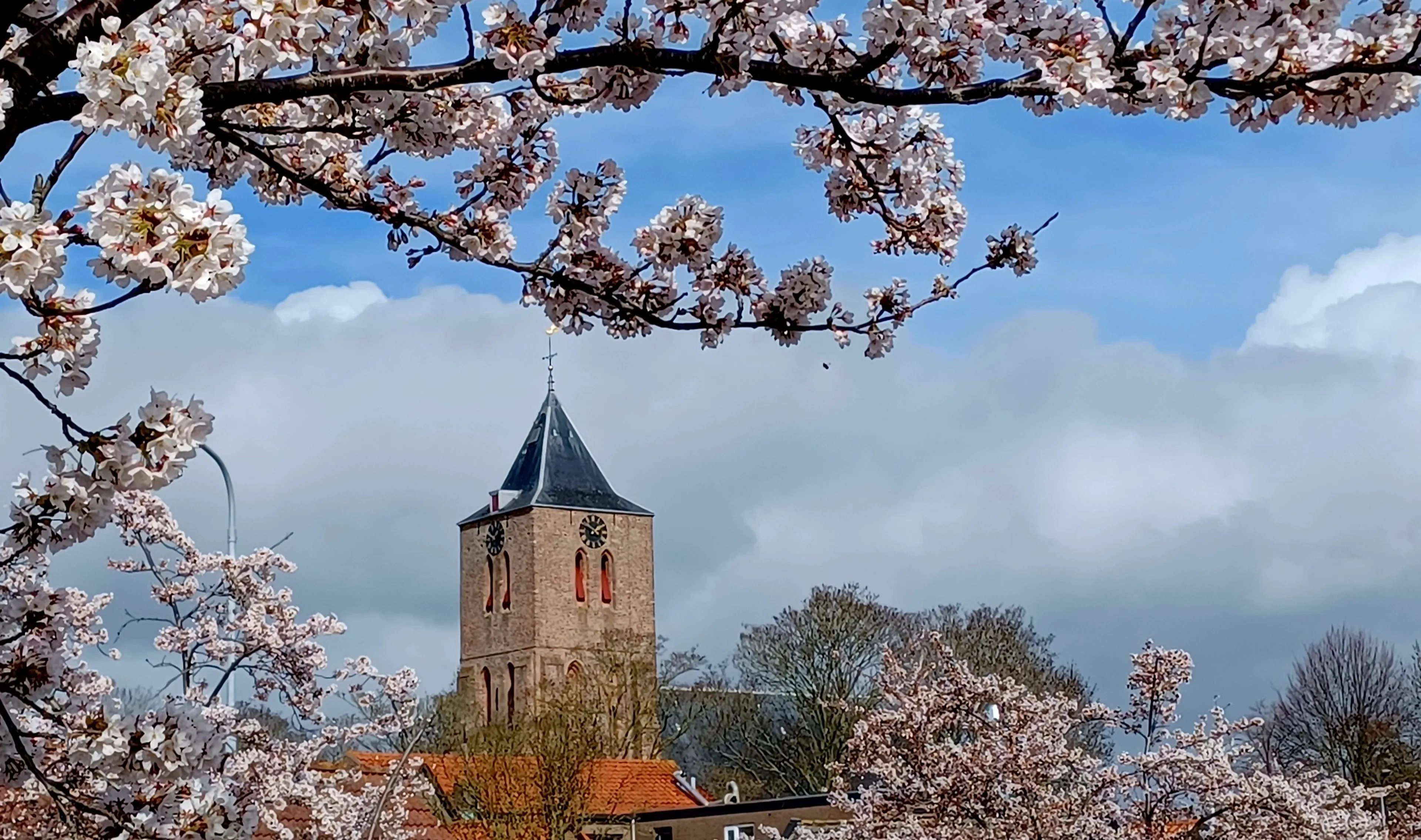 Lente laat zich weer zien: temperatuur schiet komende dagen omhoog