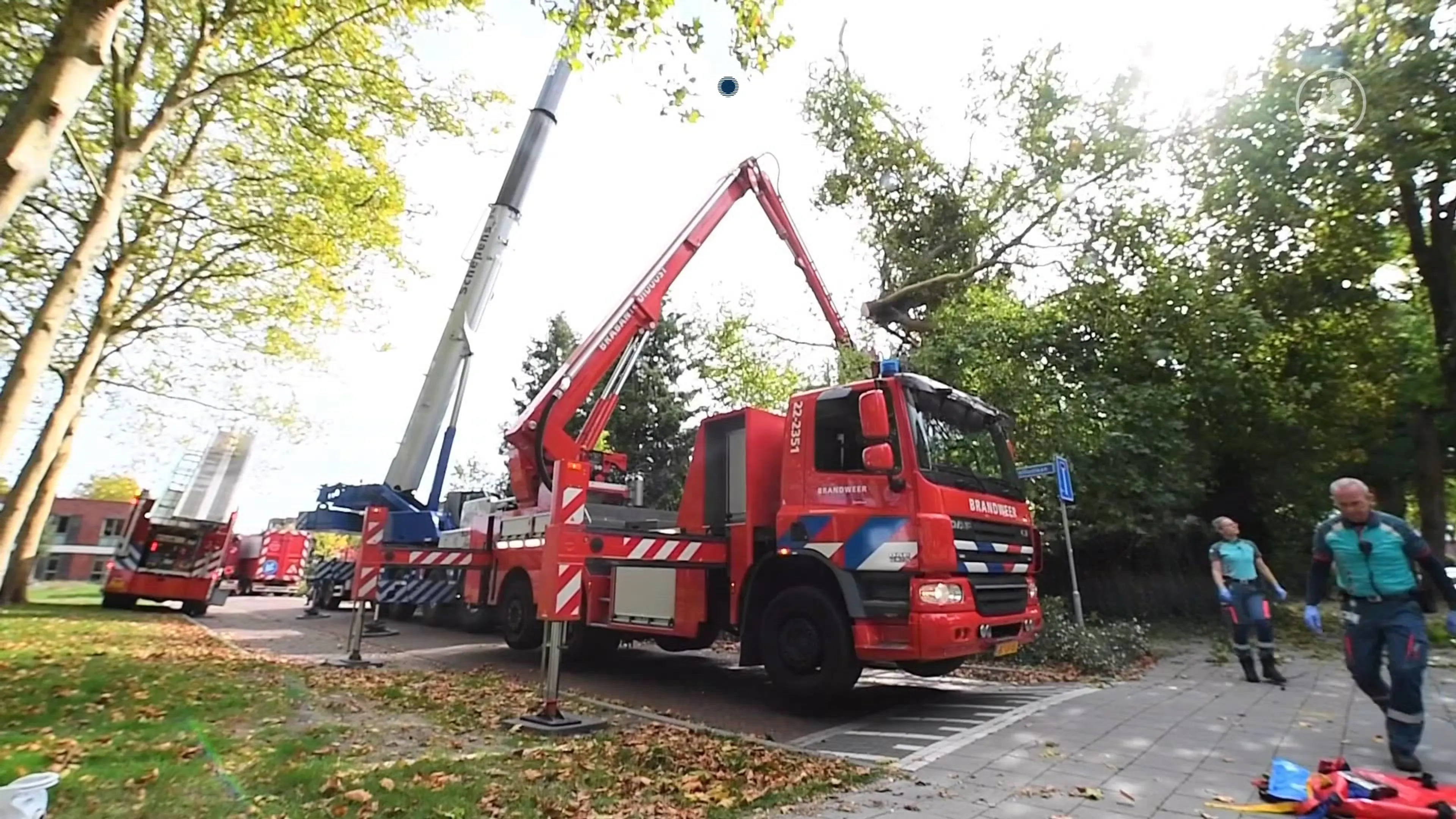 Man overleden aangetroffen in boom Waalre