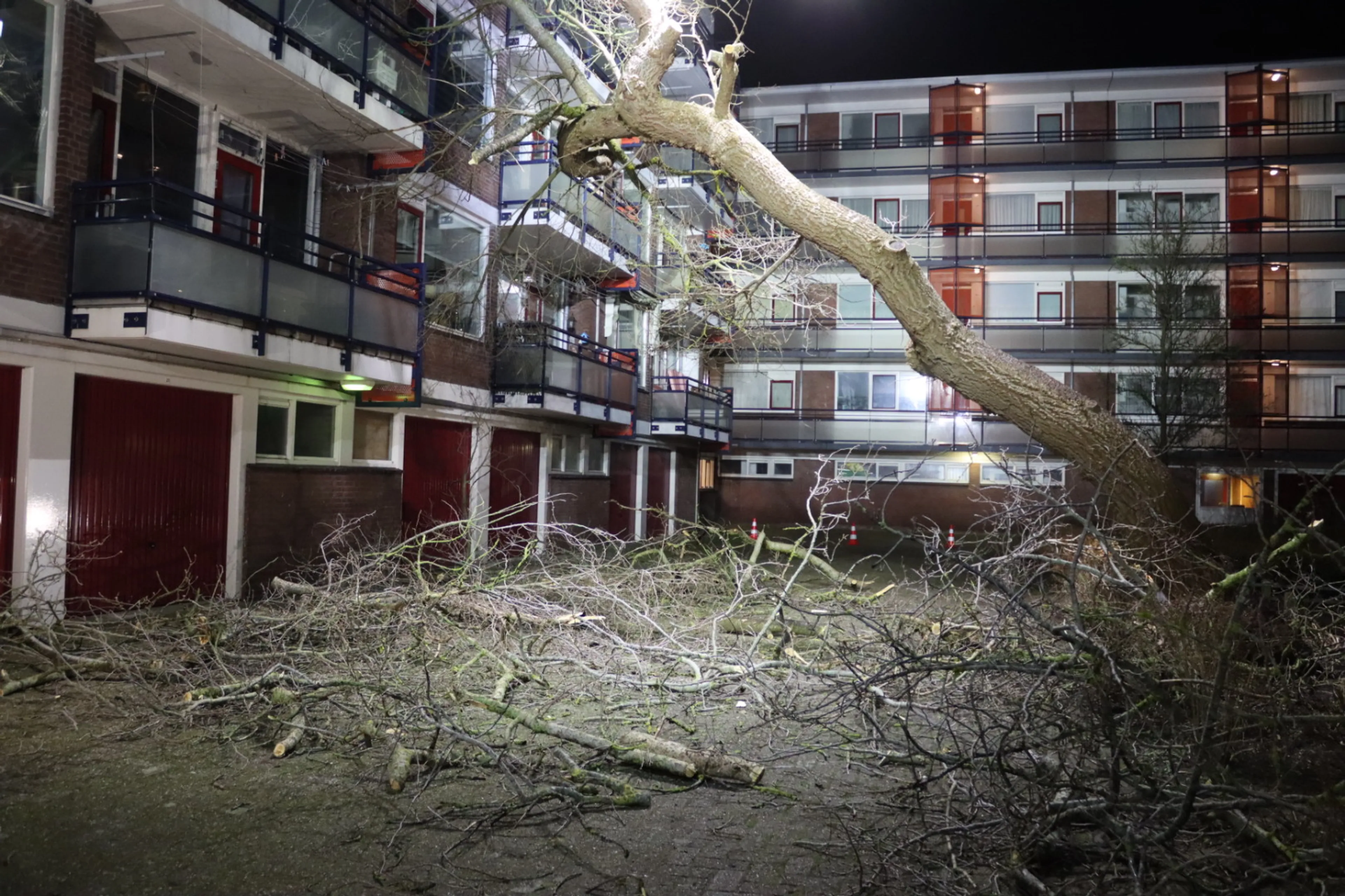 Bomen vallen op flat en auto's: flinke schade in Katwijk en Den Haag
