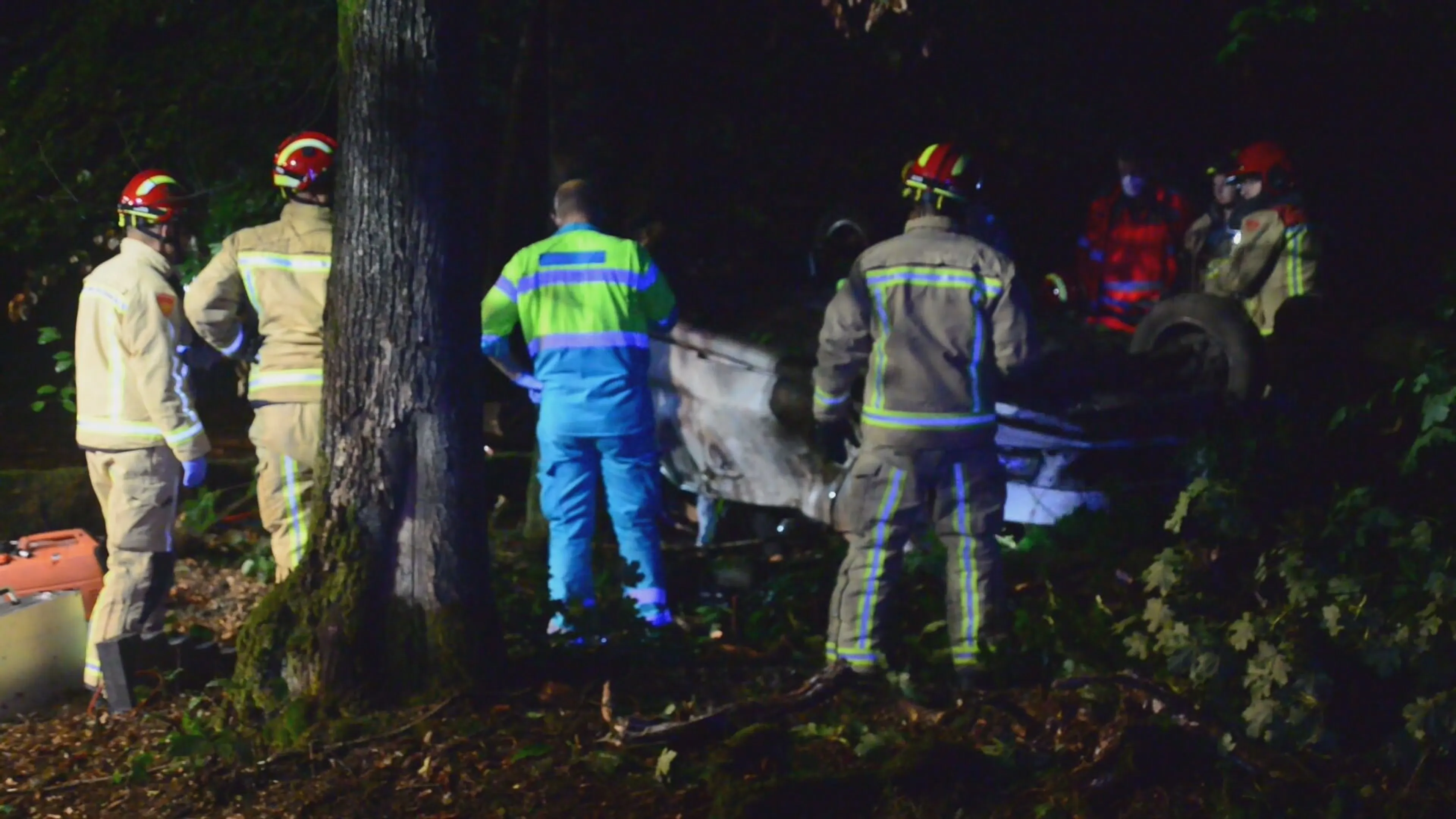 Auto slaat over de kop bij De Rips, bestuurder (24) komt om het leven