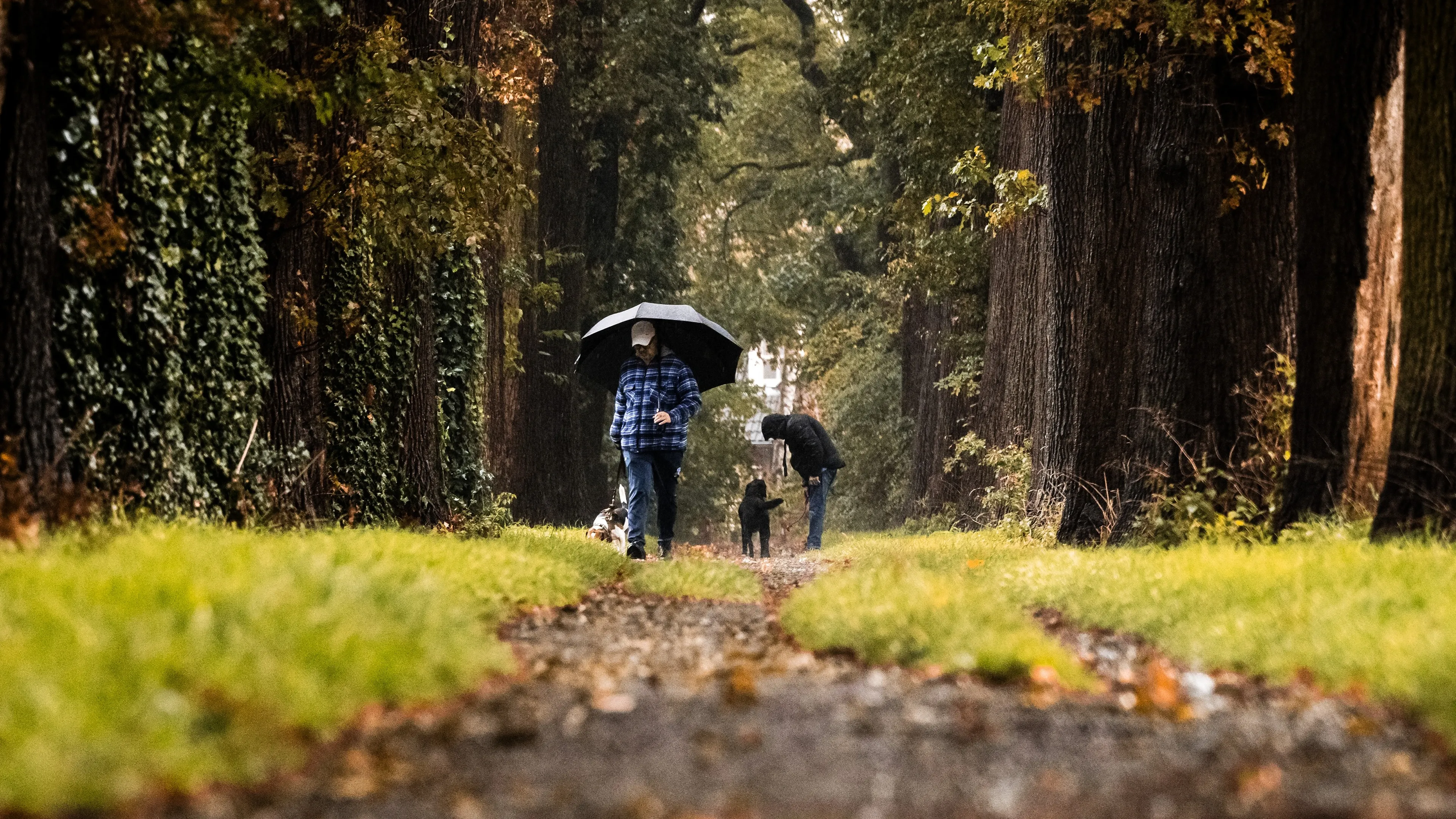 Afgelopen herfst was op één na warmste herfst ooit gemeten, maar ook veel regen