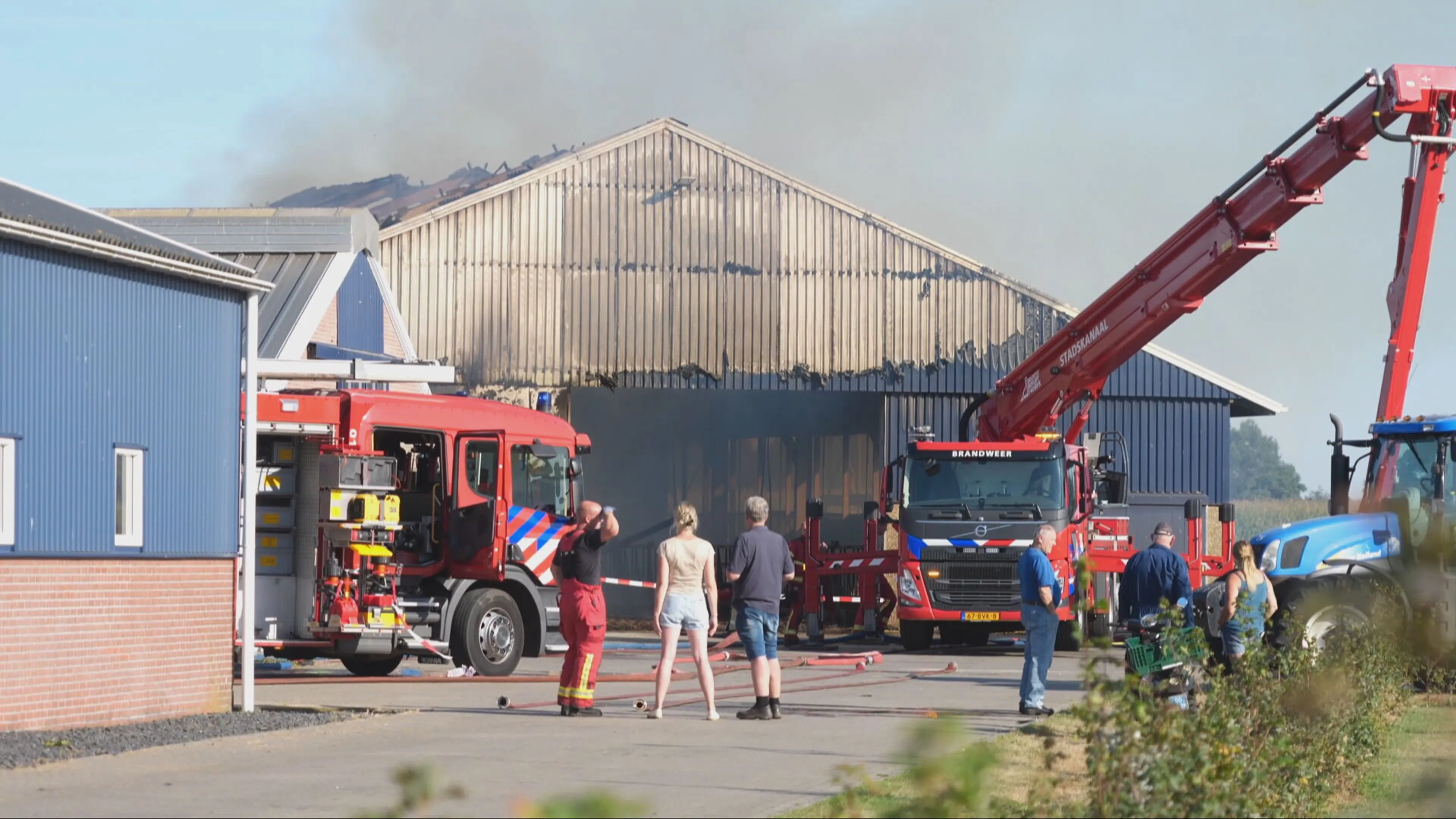 Vijf koeien omgekomen bij grote stalbrand in Vlagtwedde