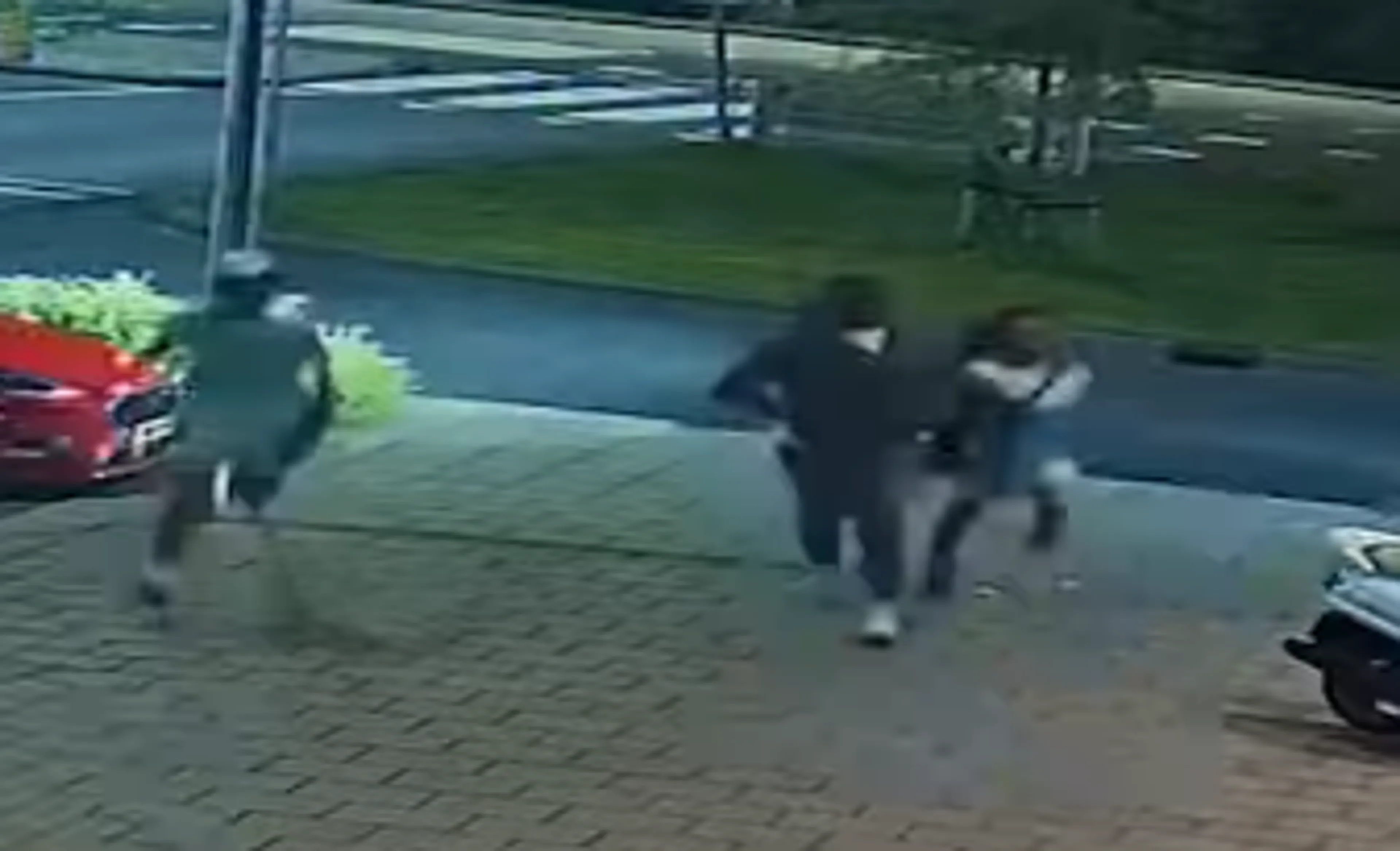 Politie toont beelden verdachten na zware mishandeling Heenvliet