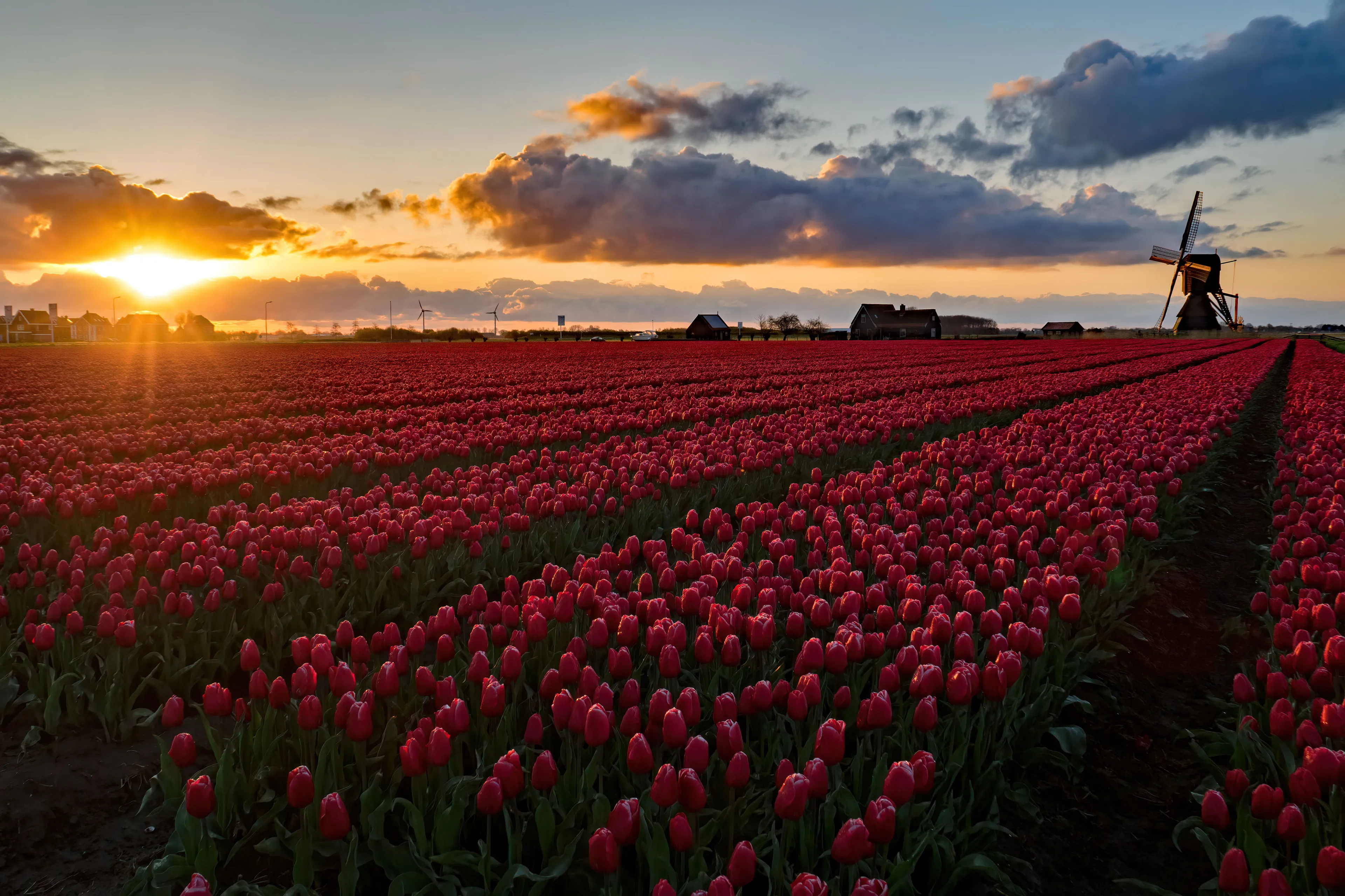 Temperatuur stijgt, mooi lenteweer op komst
