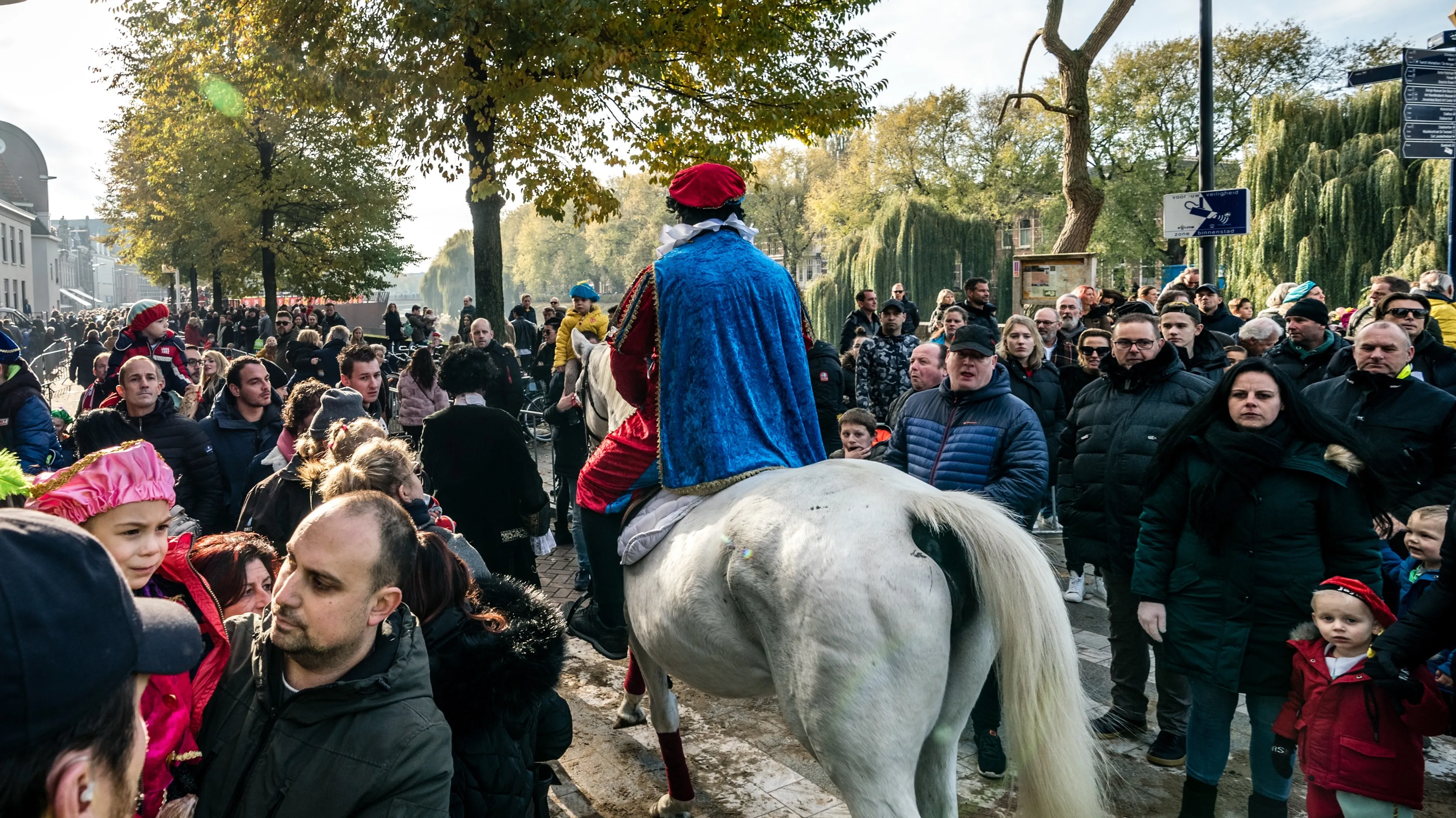 Partij voor de Dieren in Den Bosch wil paarden weren bij carnaval en Sinterklaas