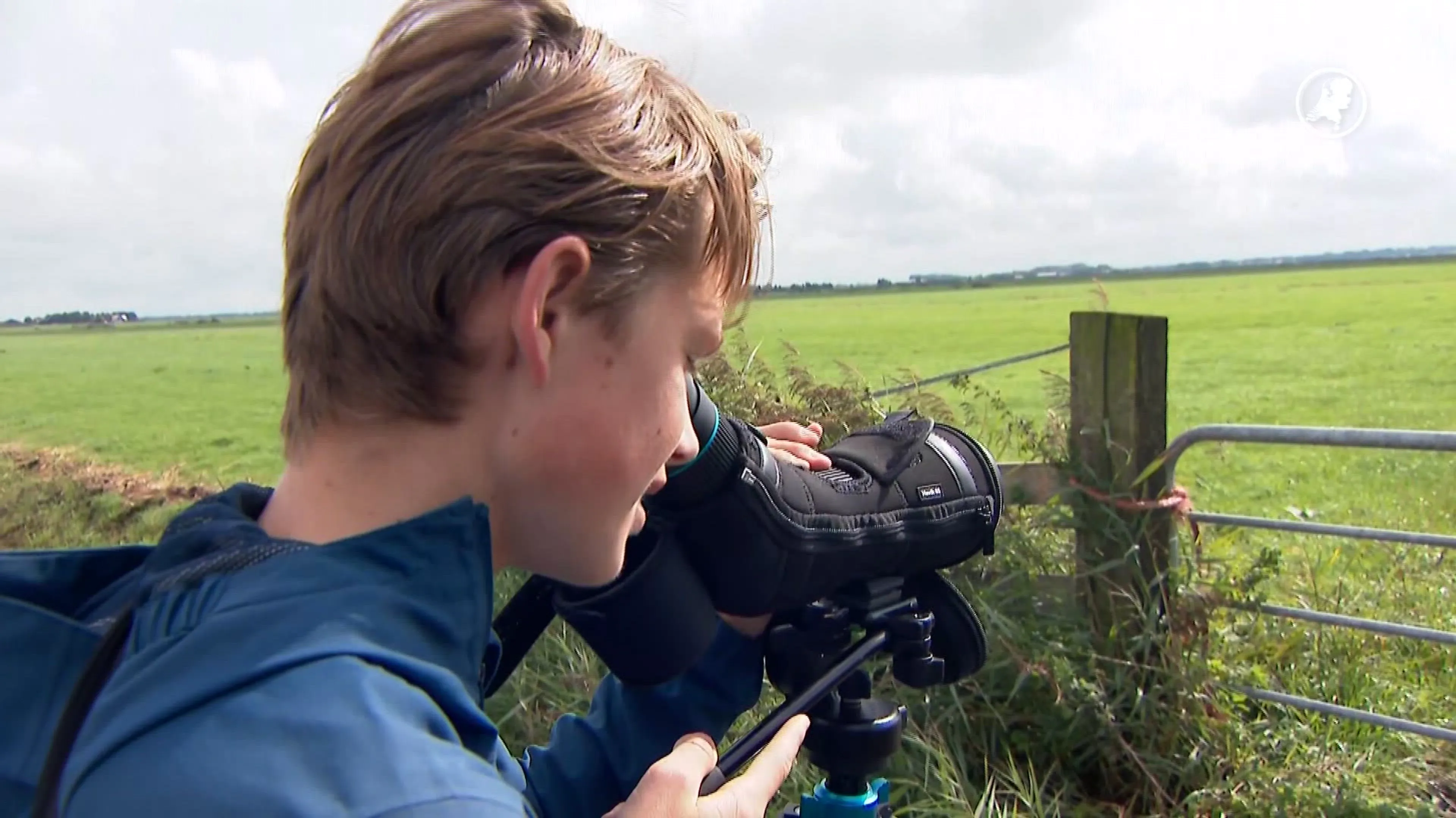 Vogelspotters massaal richting Eemnes voor zeldzame roofvogel
