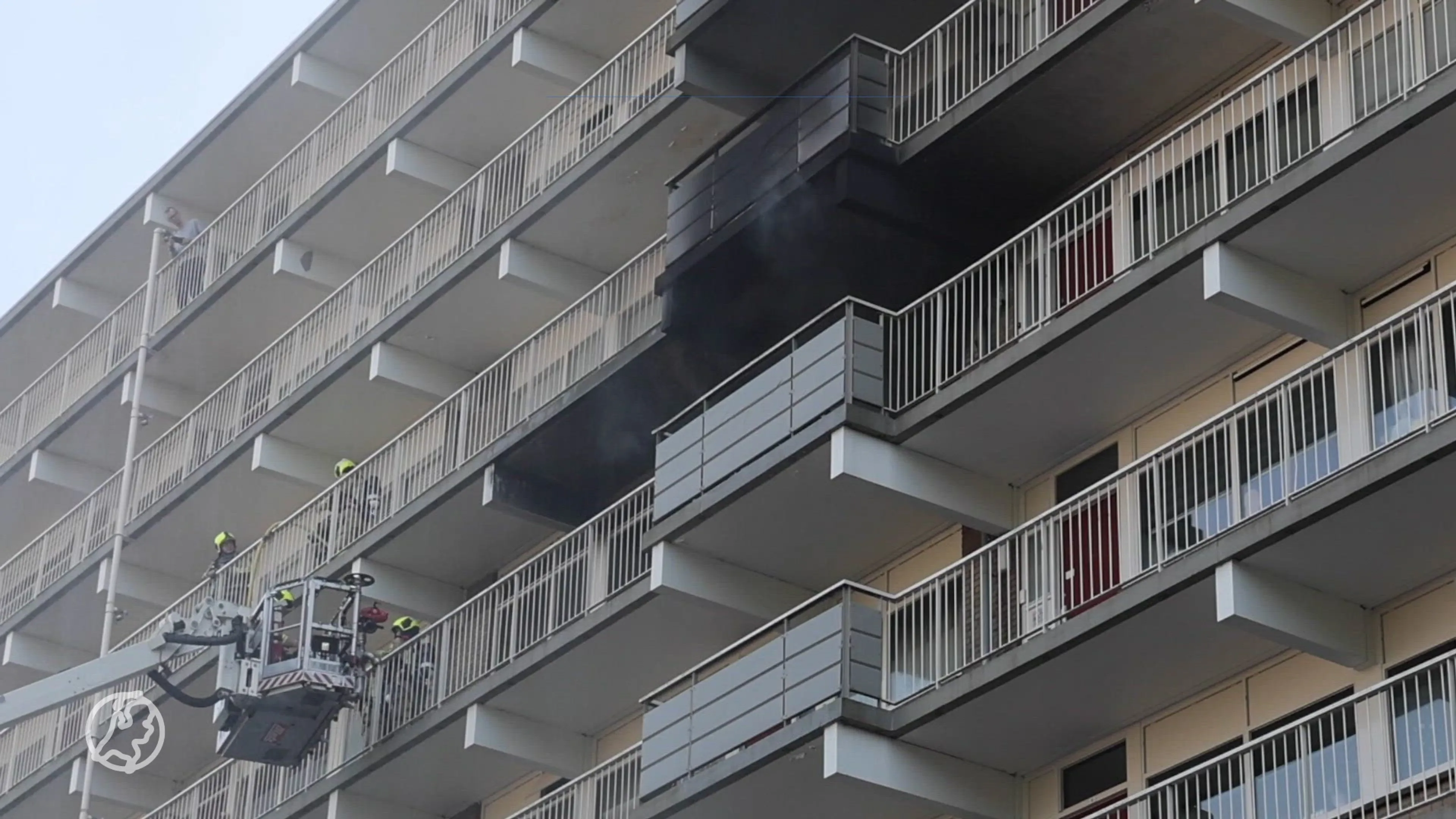 Hond omgekomen bij brand in Zoetermeer