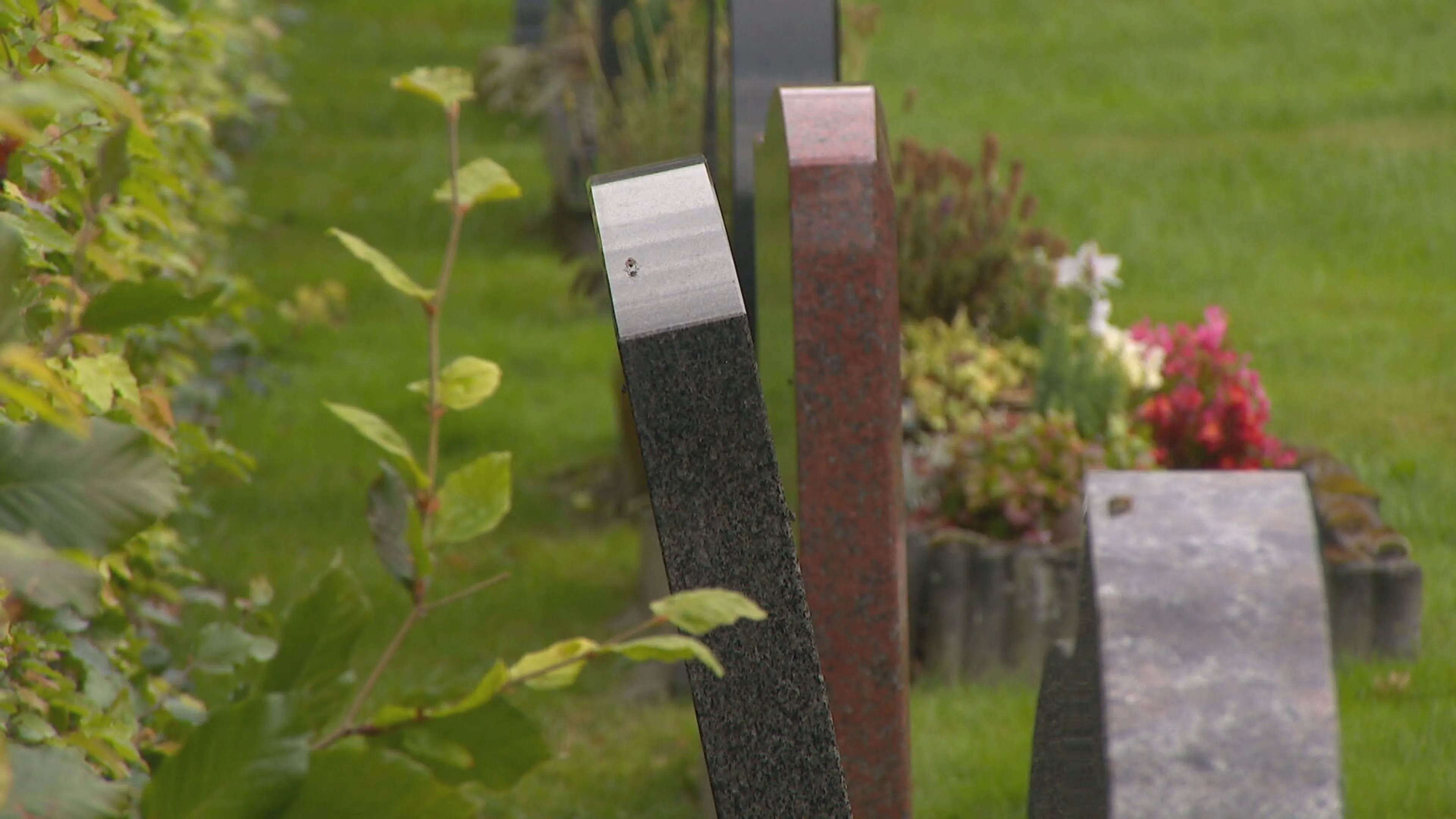 Groningse grafstenen trillen scheef door aardbevingen: 'Schokkend, letterlijk en figuurlijk'