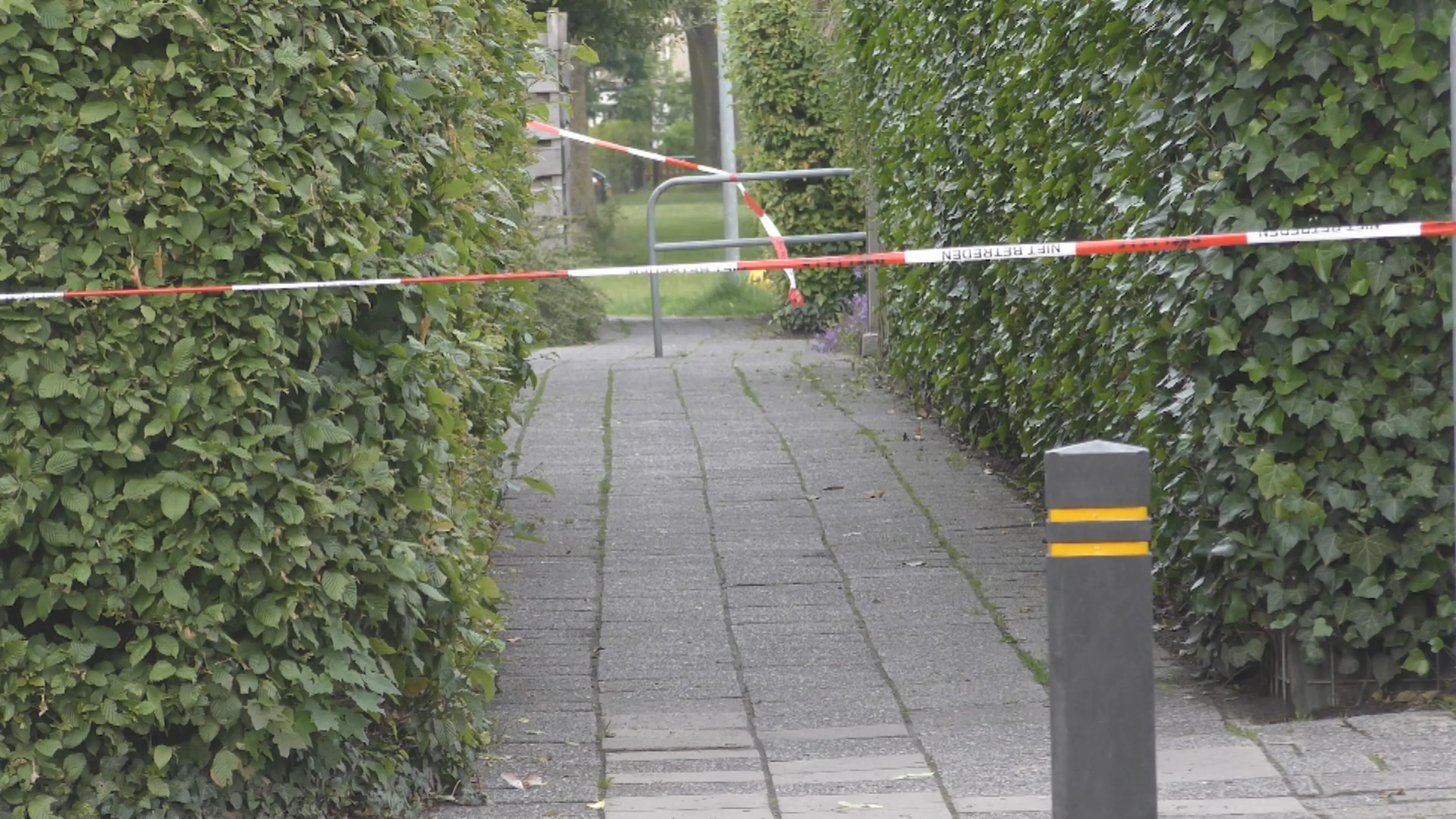 Jong meisje seksueel misbruikt tijdens het buitenspelen in steegje Roden