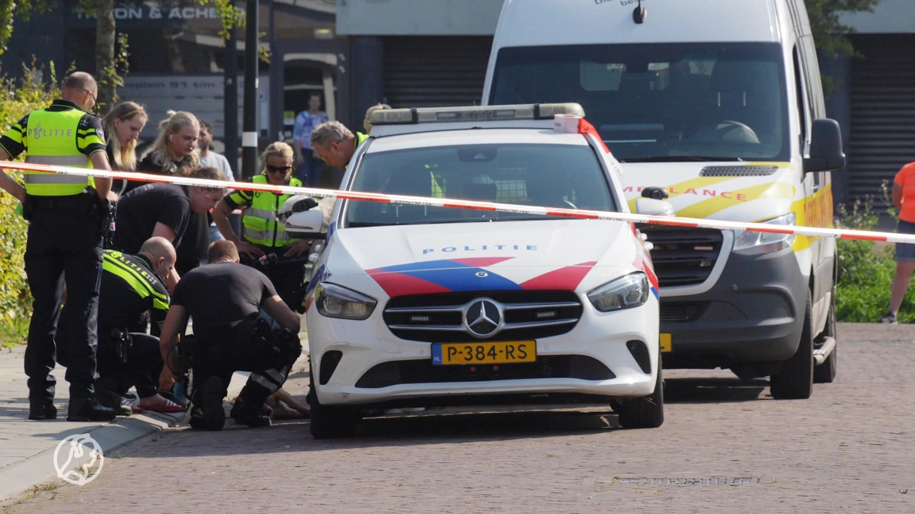 Kat die in gevecht was met pitbull Luna in Assen nog steeds spoorloos