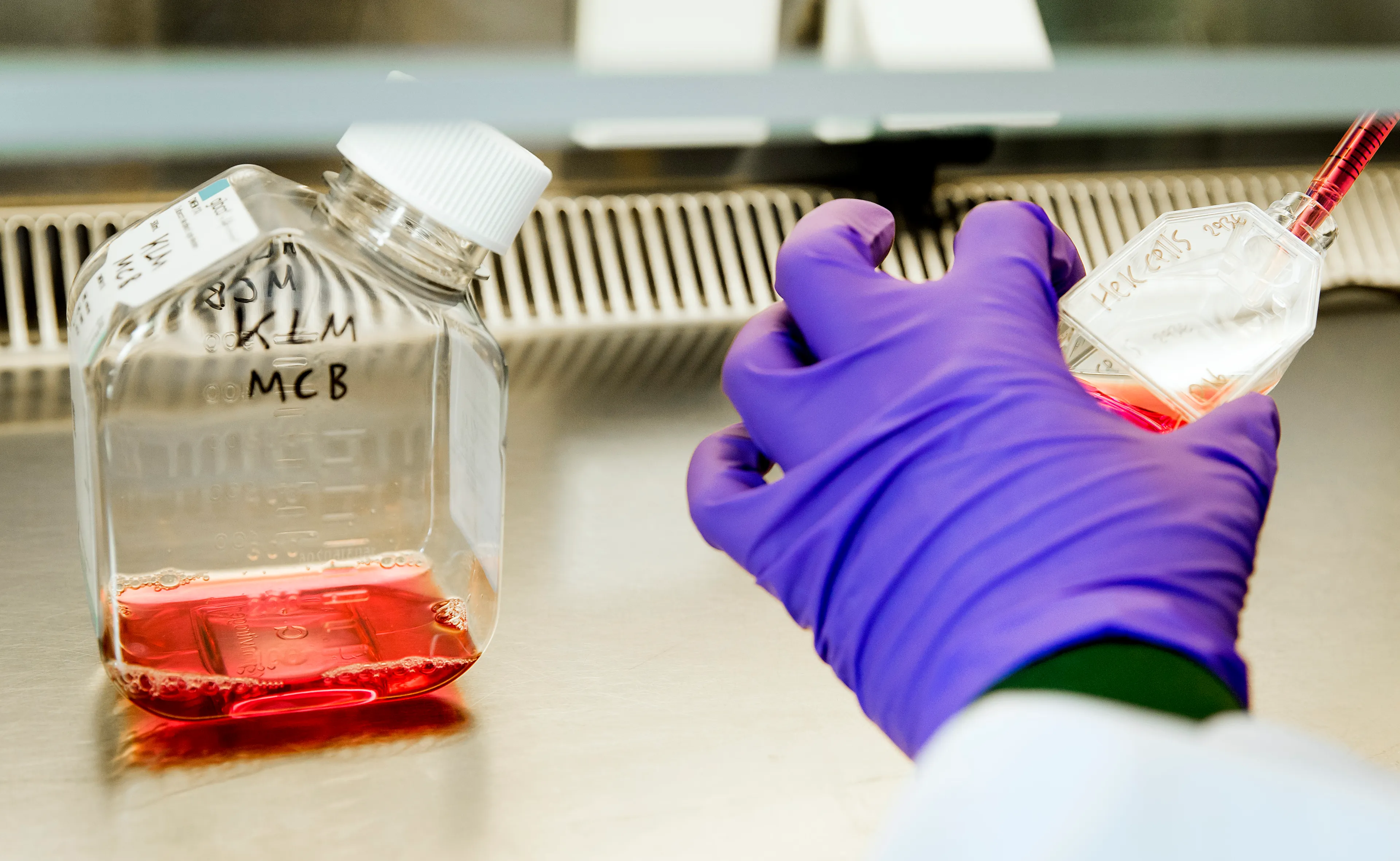 Bloedbank Sanquin gaat plasma inzamelen voor mogelijk geneesmiddel corona