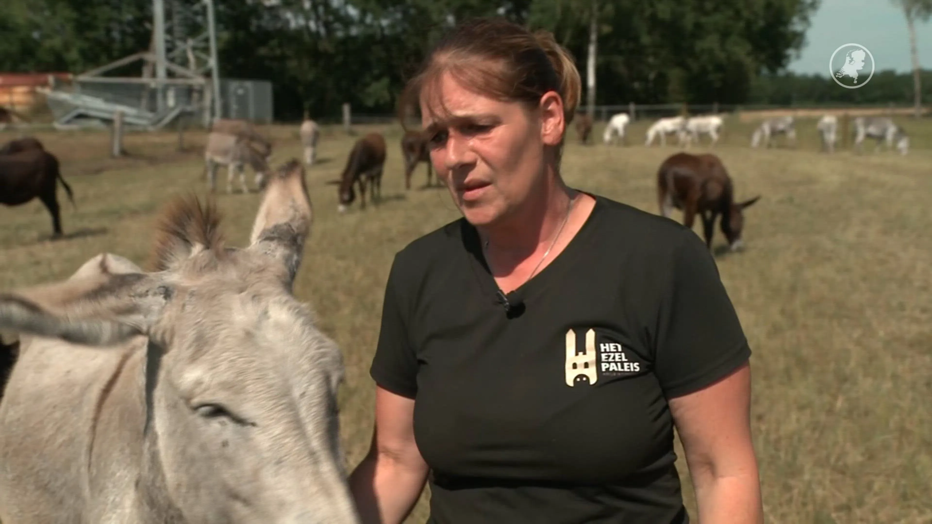 Ezel Nono onverwachts overleden, overvoeding door omstanders waarschijnlijk de oorzaak