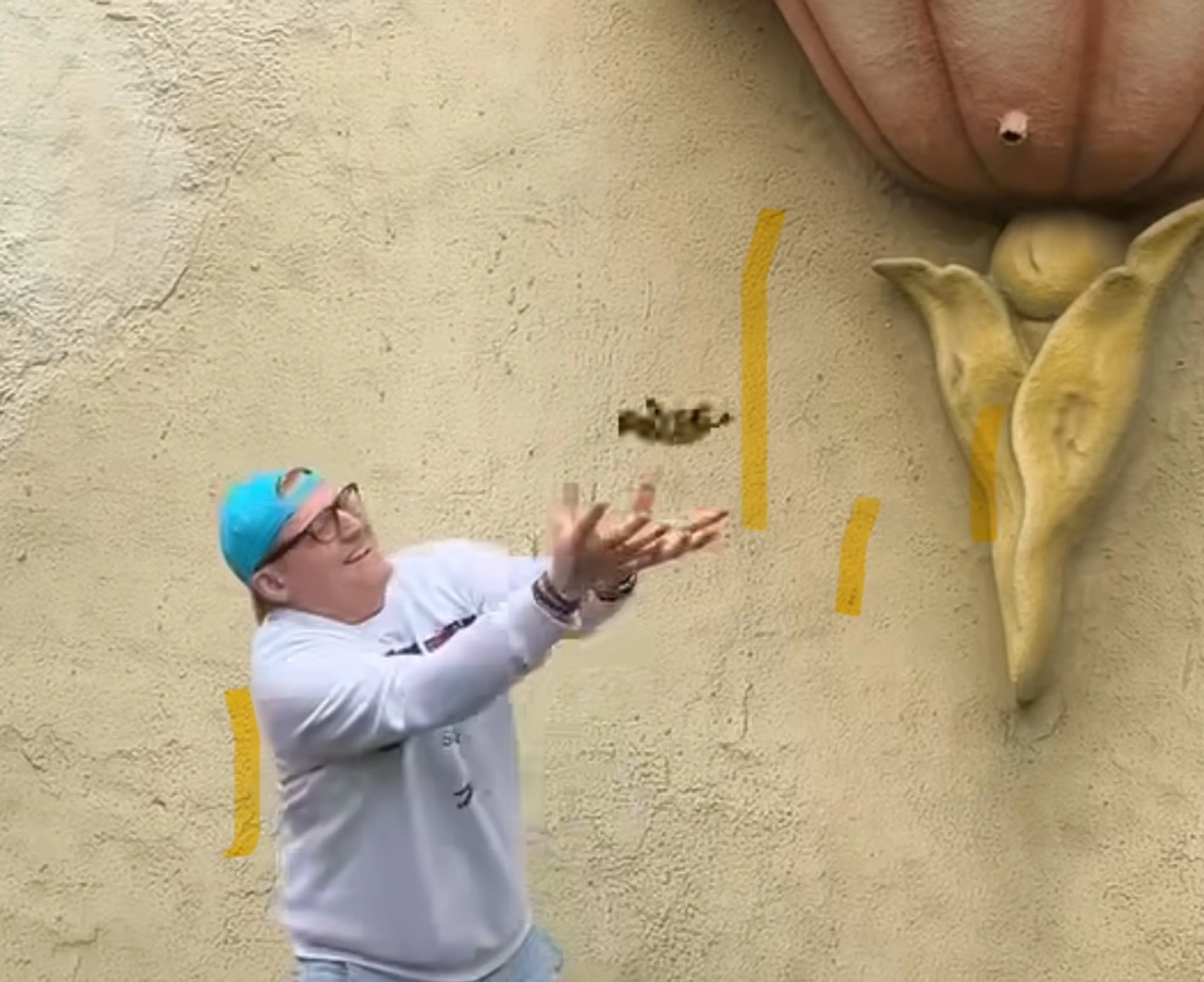 Man redt kuikentjes van val bij Droomvlucht in Efteling, beelden gaan viraal