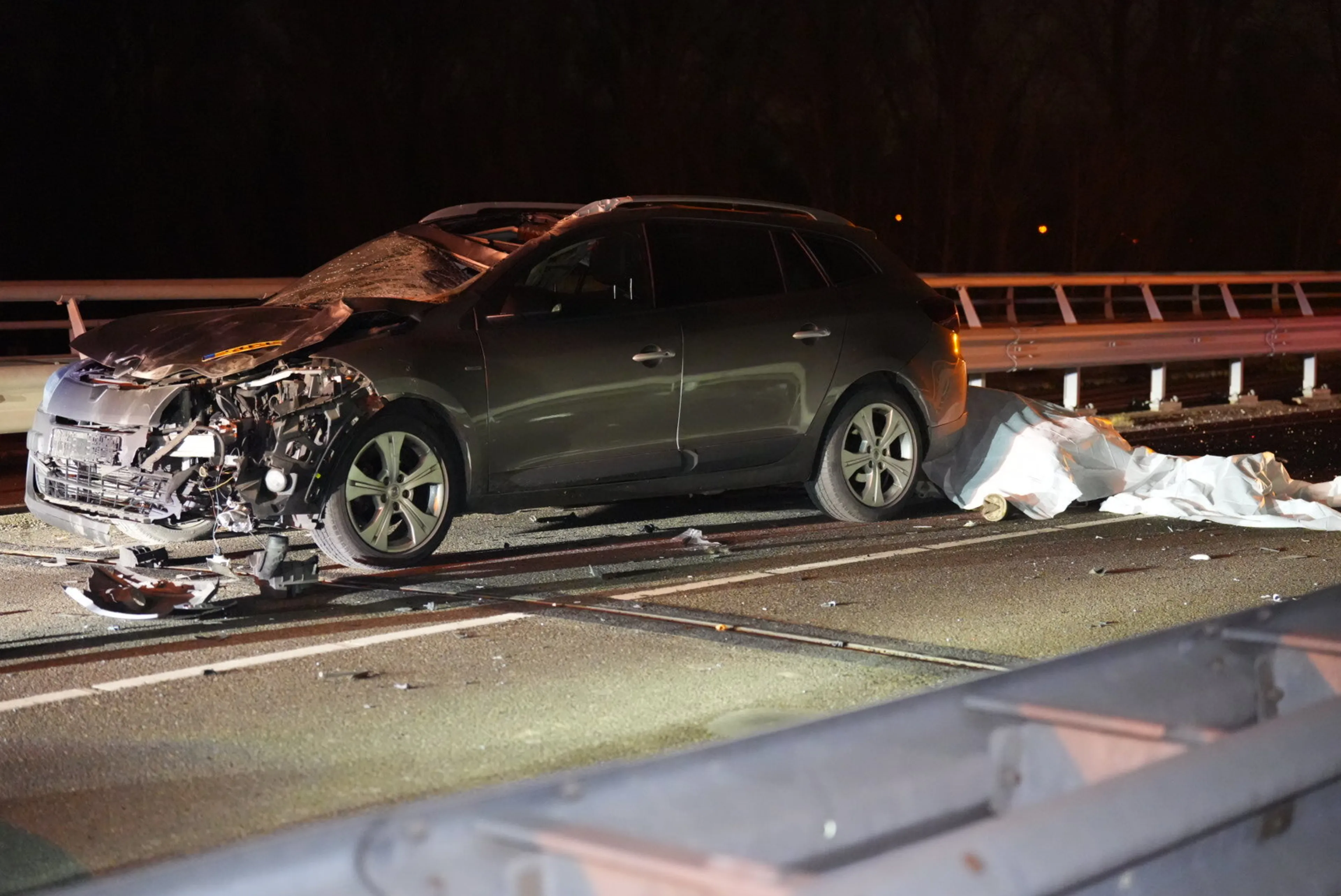 Paard overleden na frontale botsing met auto in Ressen