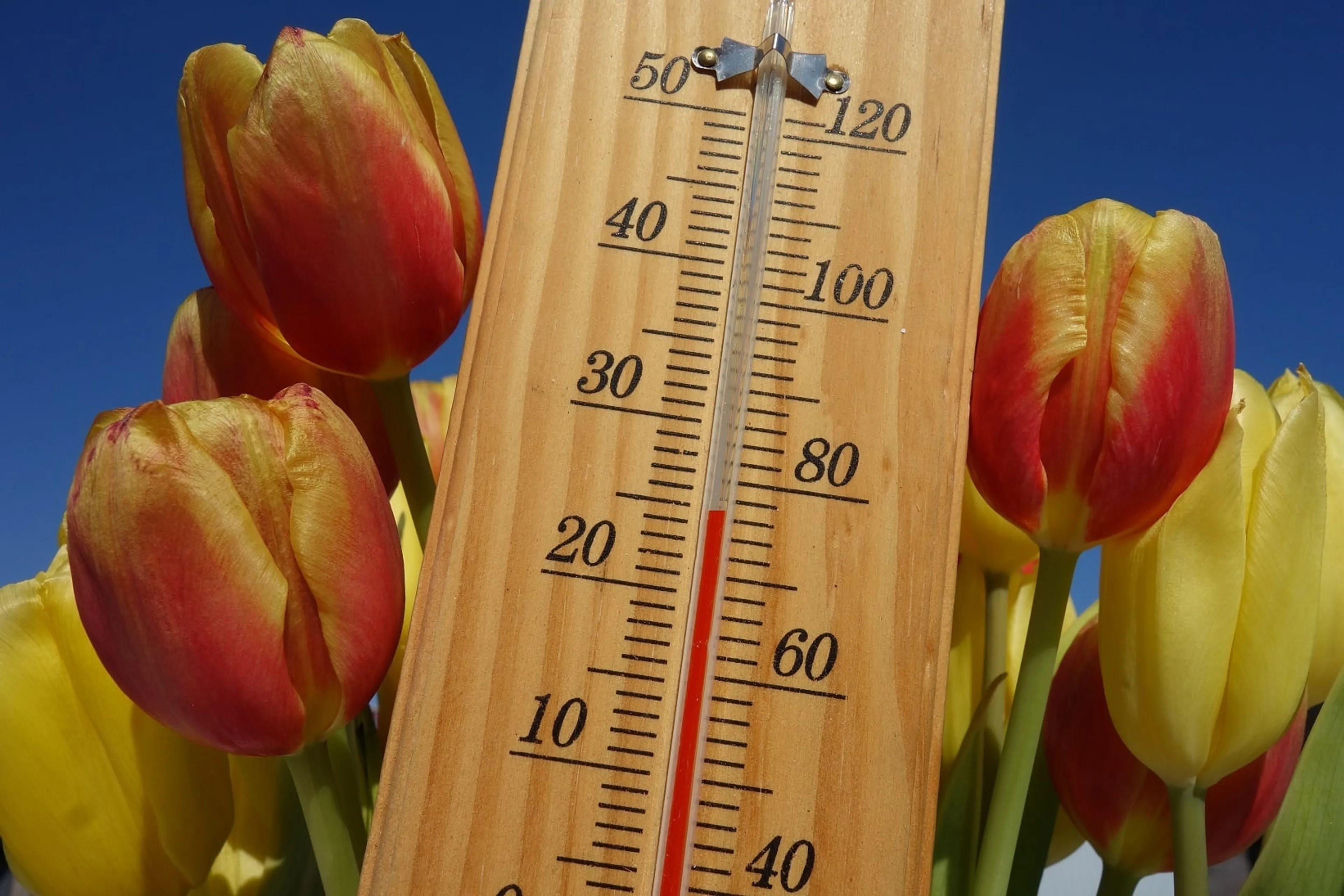 Dit heeft Moeder Natuur in petto voor Moederdag: zon en warme temperaturen