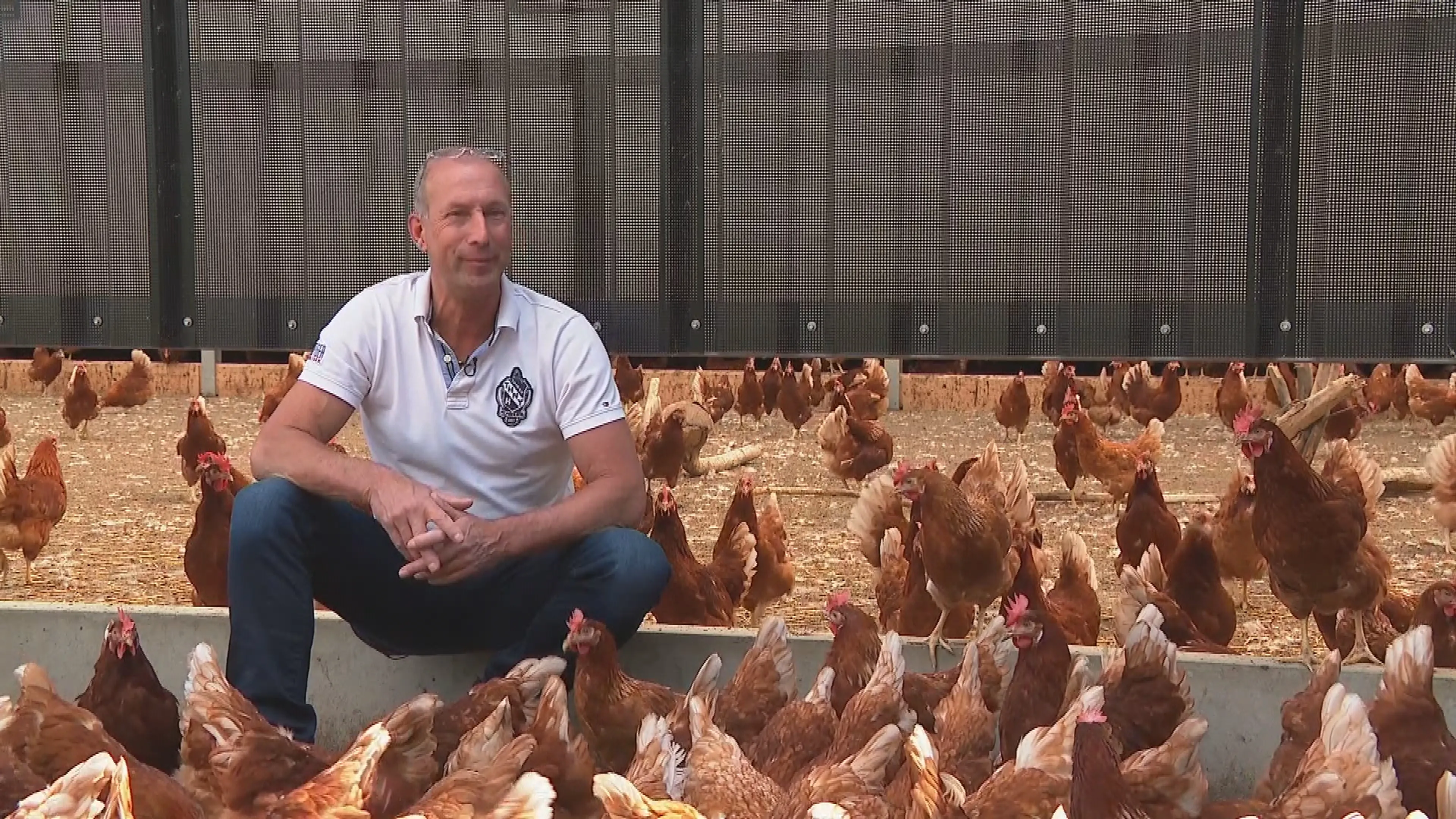 Vogelgriepvaccin opluchting voor pluimveehouder Theo: 'Positief nieuws'