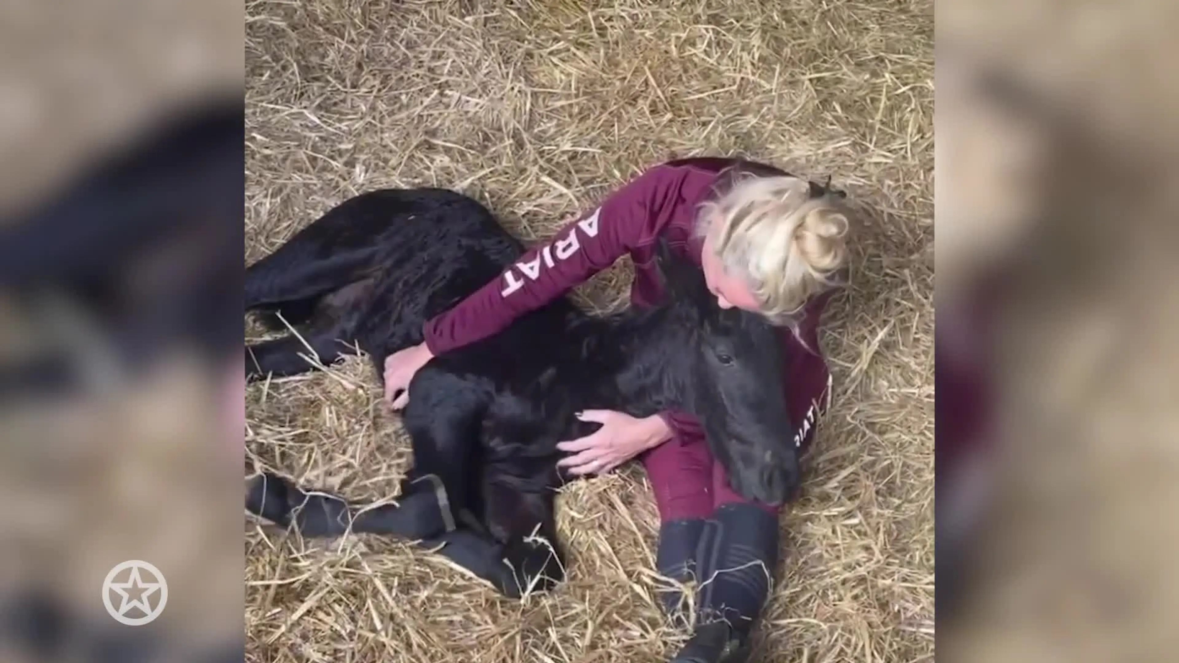 Samantha Steenwijk neemt al na vijf maanden afscheid van paard