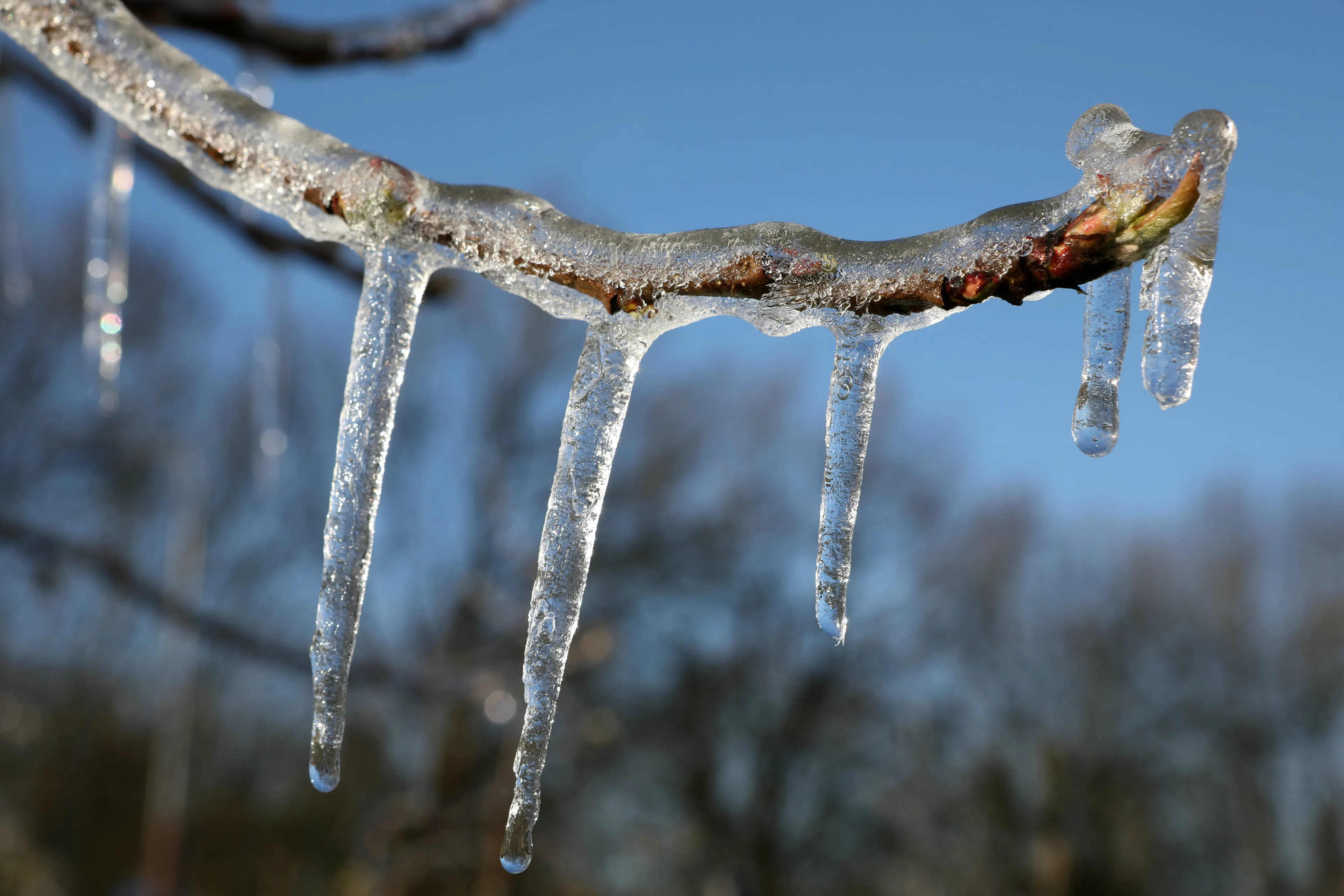Laatste ijskoude winterdag: gevoelstemperatuur onder de -15 graden