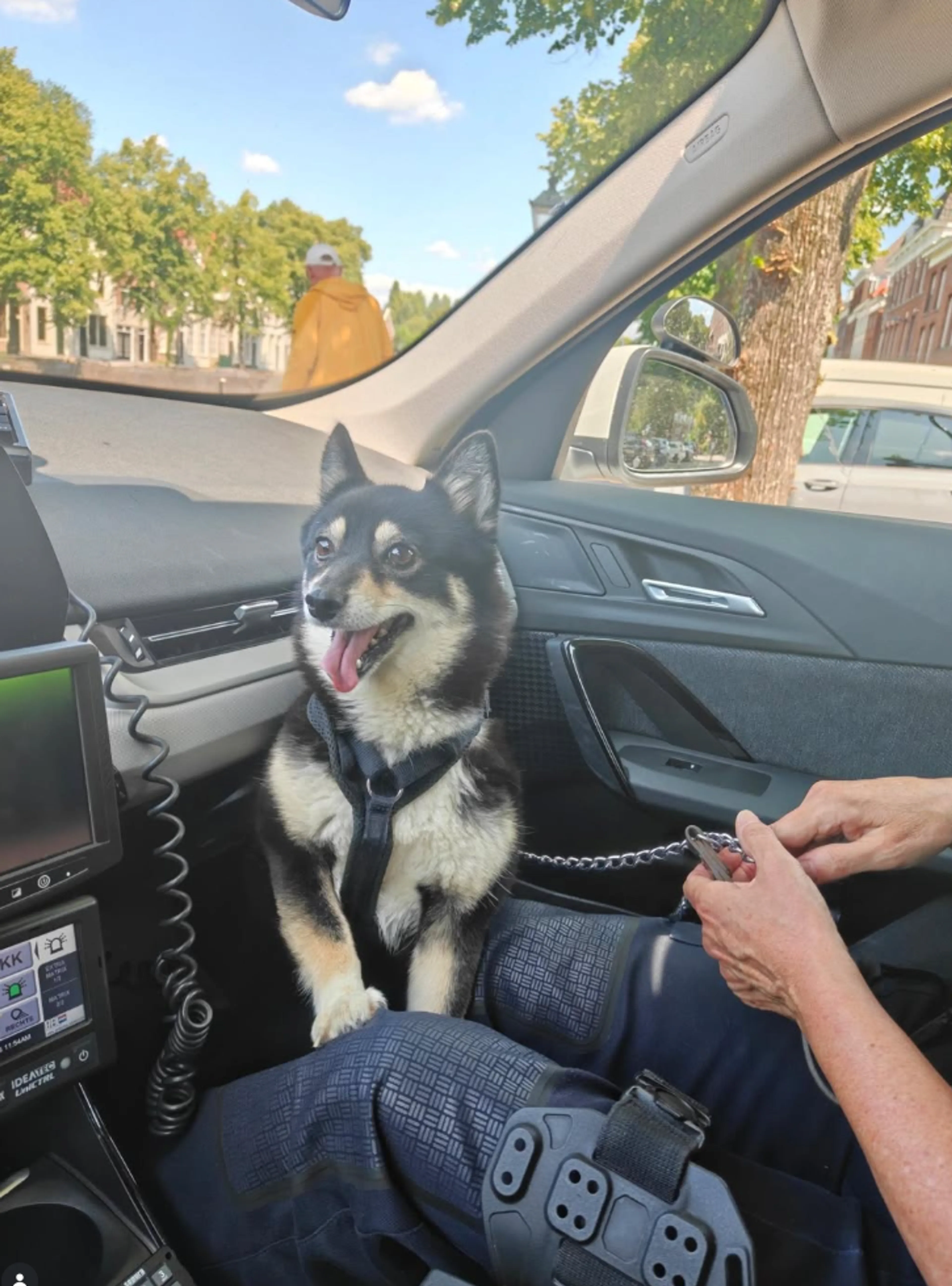 Politie treft hond aan in bloedhete auto, doet oproep tot voorzichtigheid