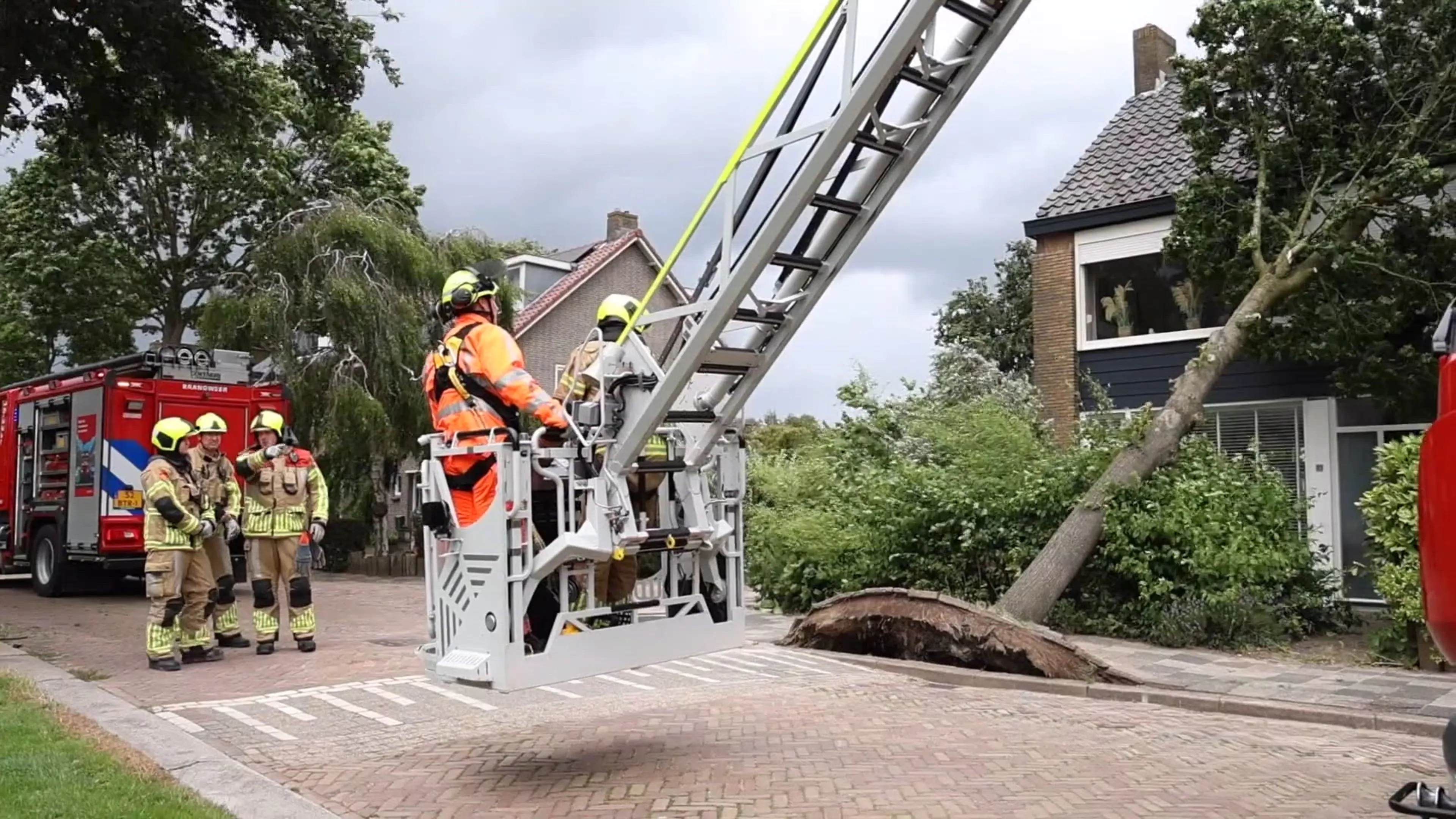 Bomen waaien op huizen en auto's: eerste zomerstorm van dit jaar een feit