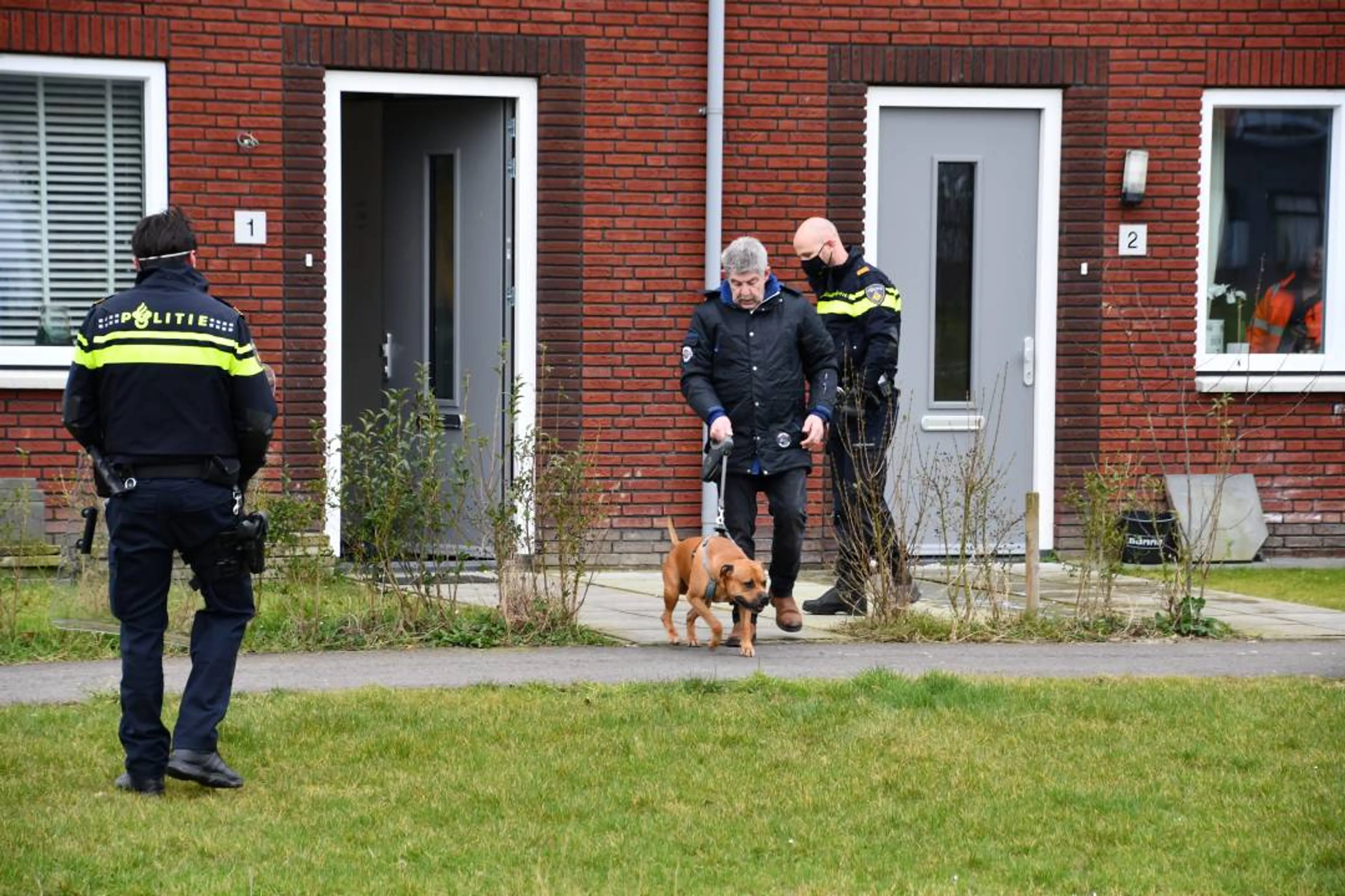Hond die drie mensen verwondde in Terneuzen is afgemaakt