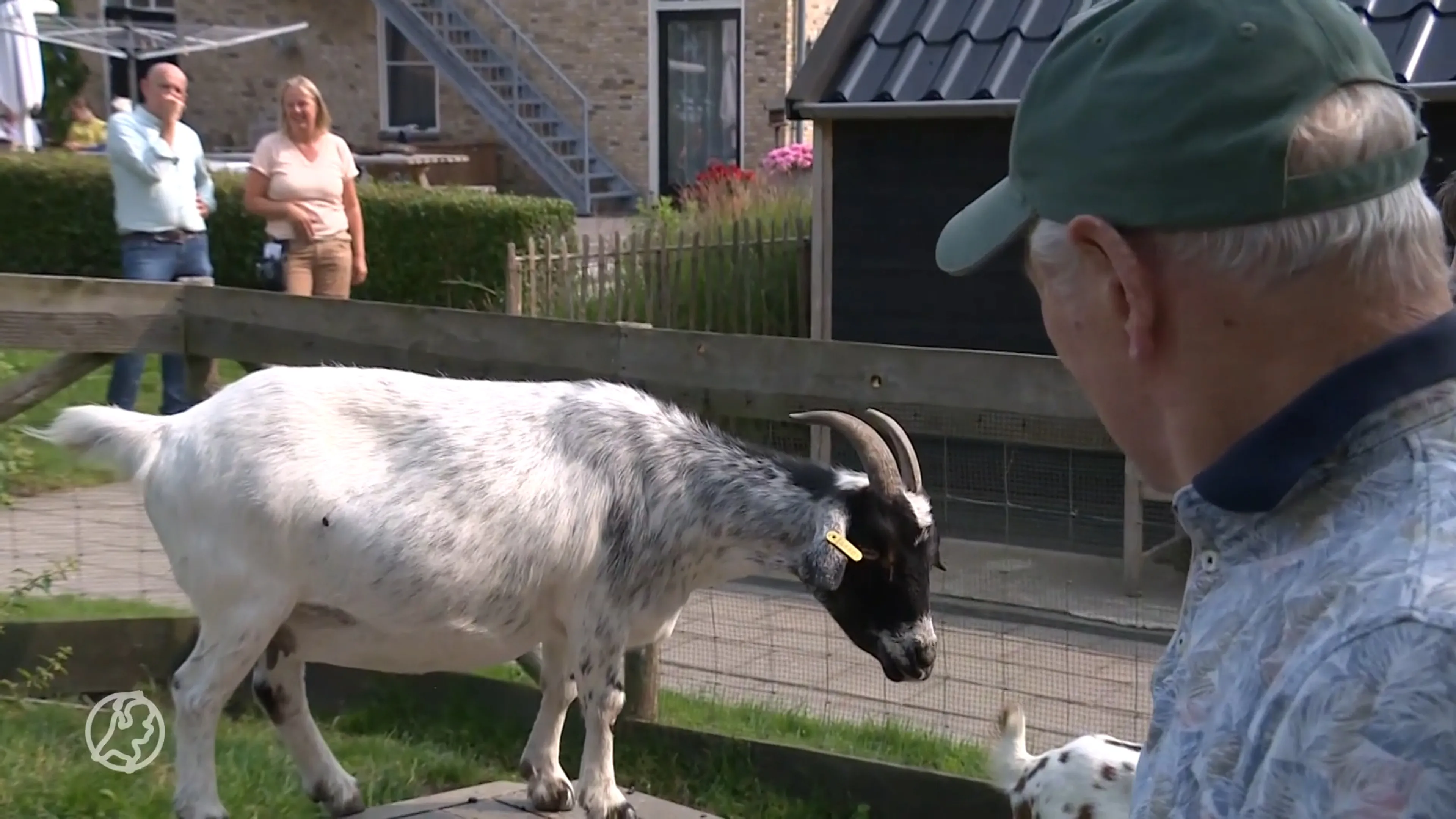 Zorgboerderijen een uitkomst voor mensen met dementie: 'Regie in eigen hand'
