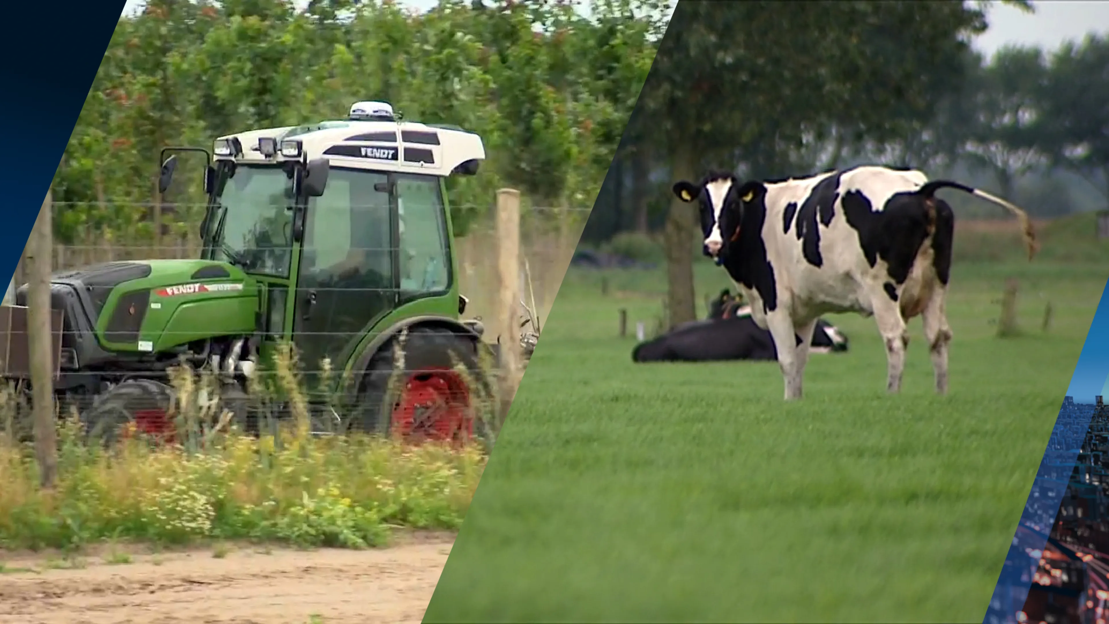 Friesland zo trots op mestgeur en trekkergeluiden dat het erfgoed moet worden