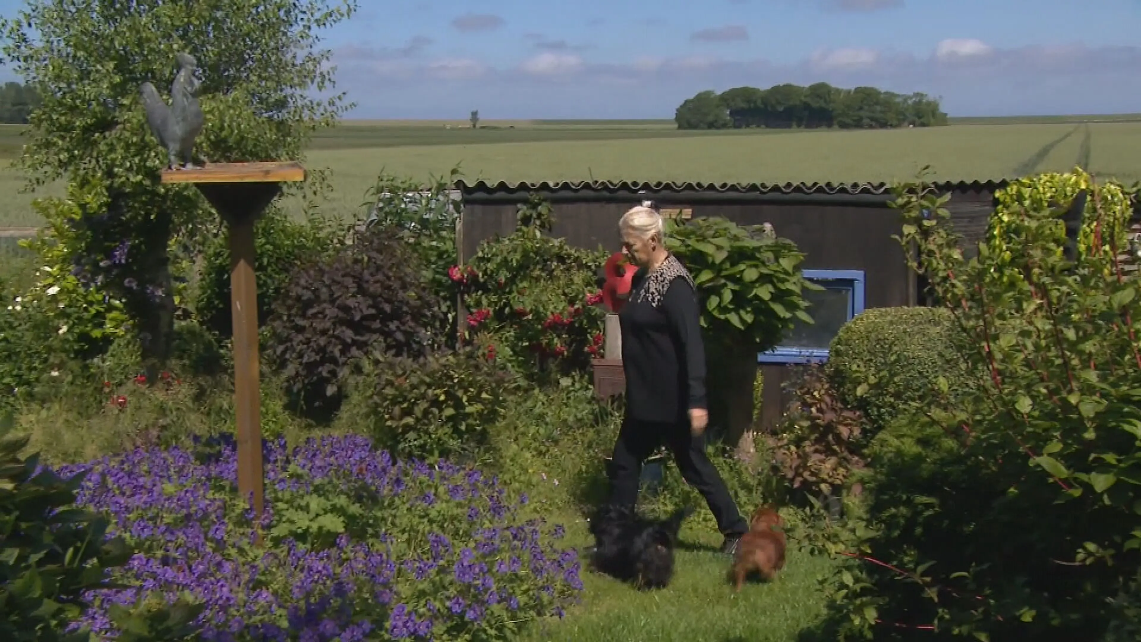 Hobbytuiniers krijgen bizarre huurverhoging van Fries waterschap: 'Ik ben des duivels'
