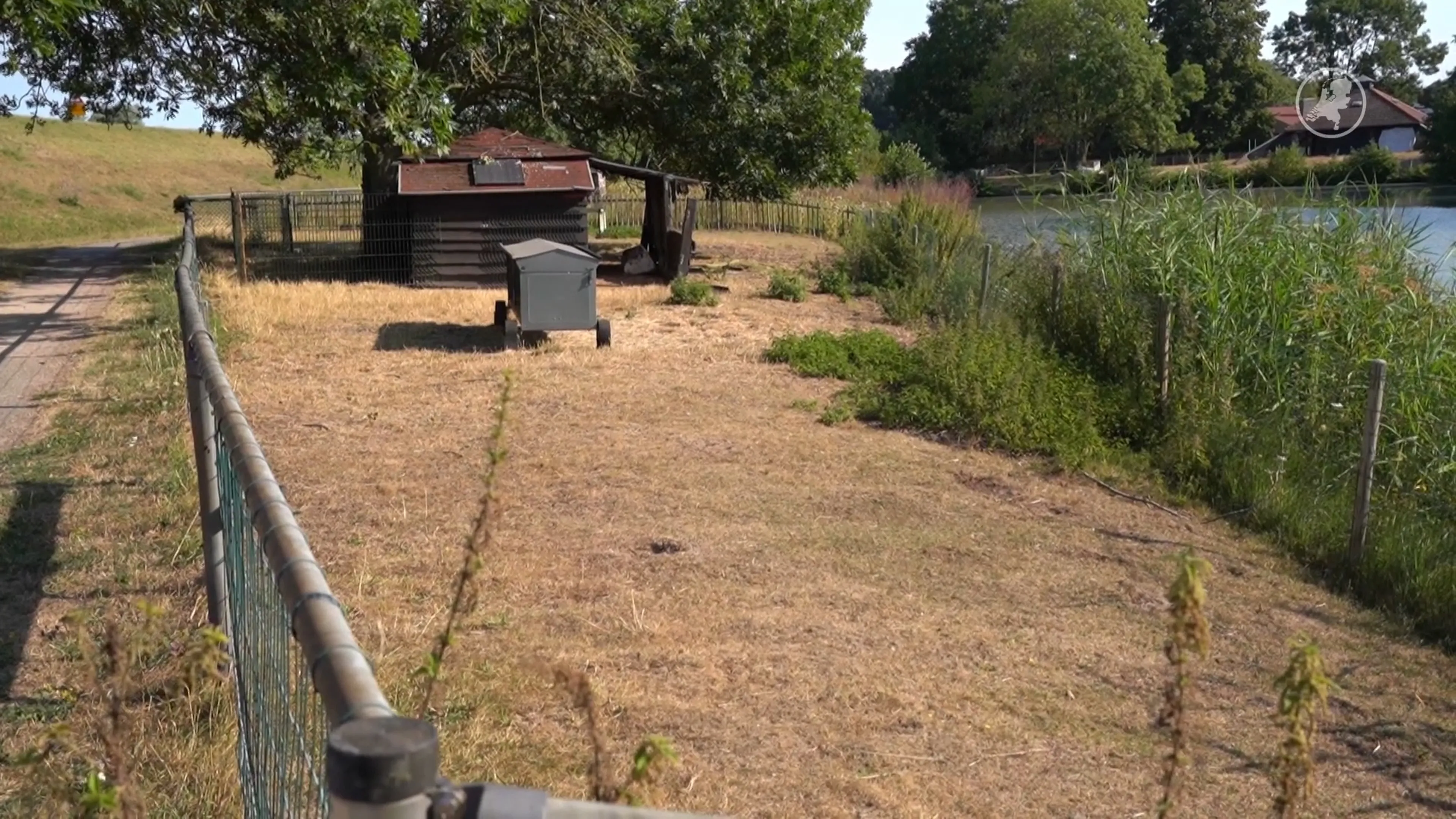 Schapen verdwenen bij kinderboerderij in Olst