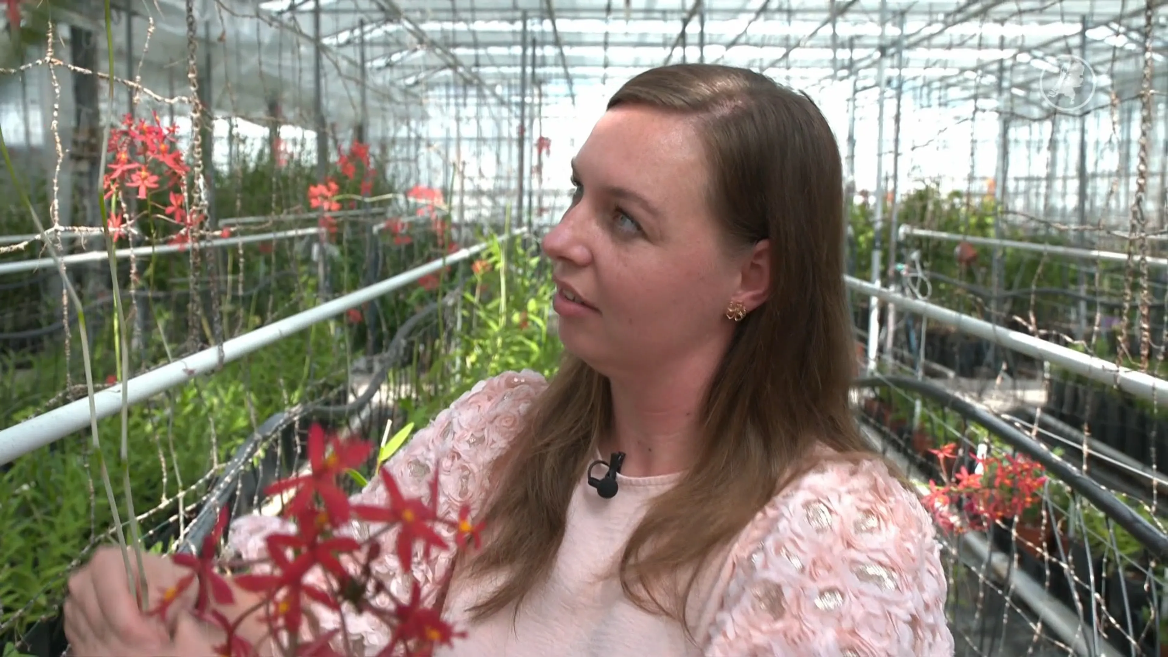 Franka gaat met haar creaties voor de wereldtitel bloemschikken