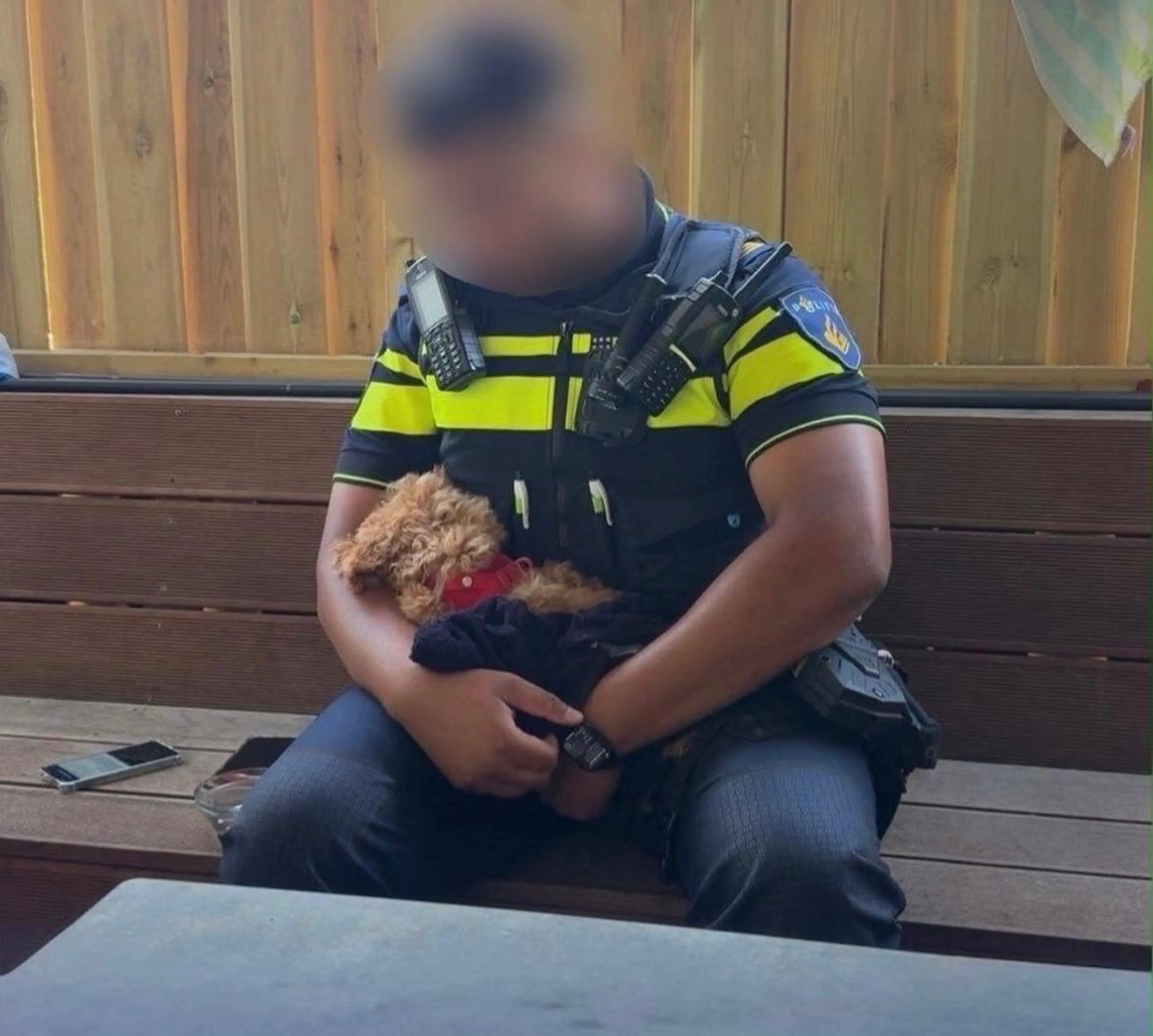 Oververhit hondje bewusteloos gevonden in kinderwagen in Wassenaar