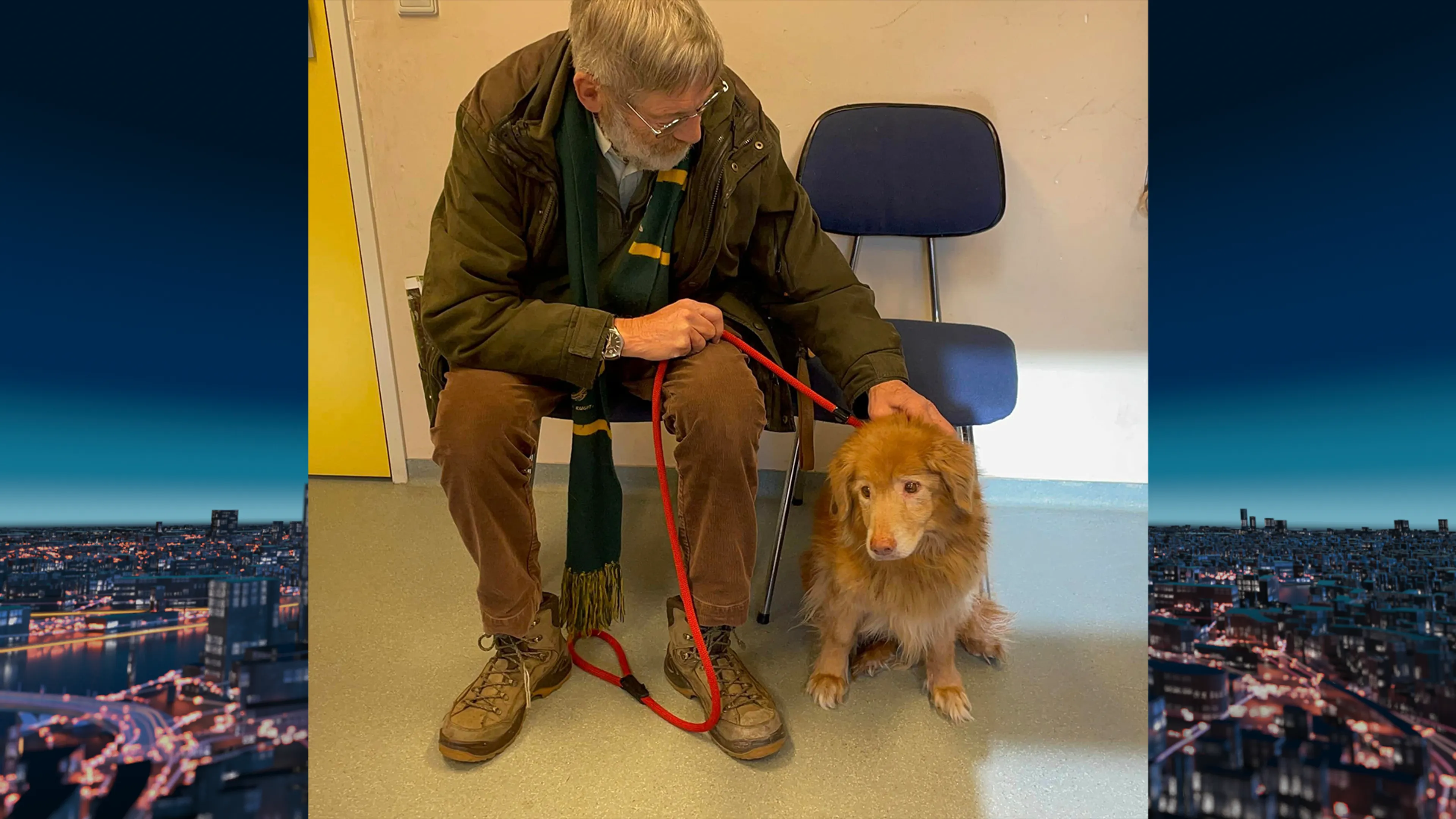 Vermiste hond Jill na bijna vijf jaar weer herenigd met baasje