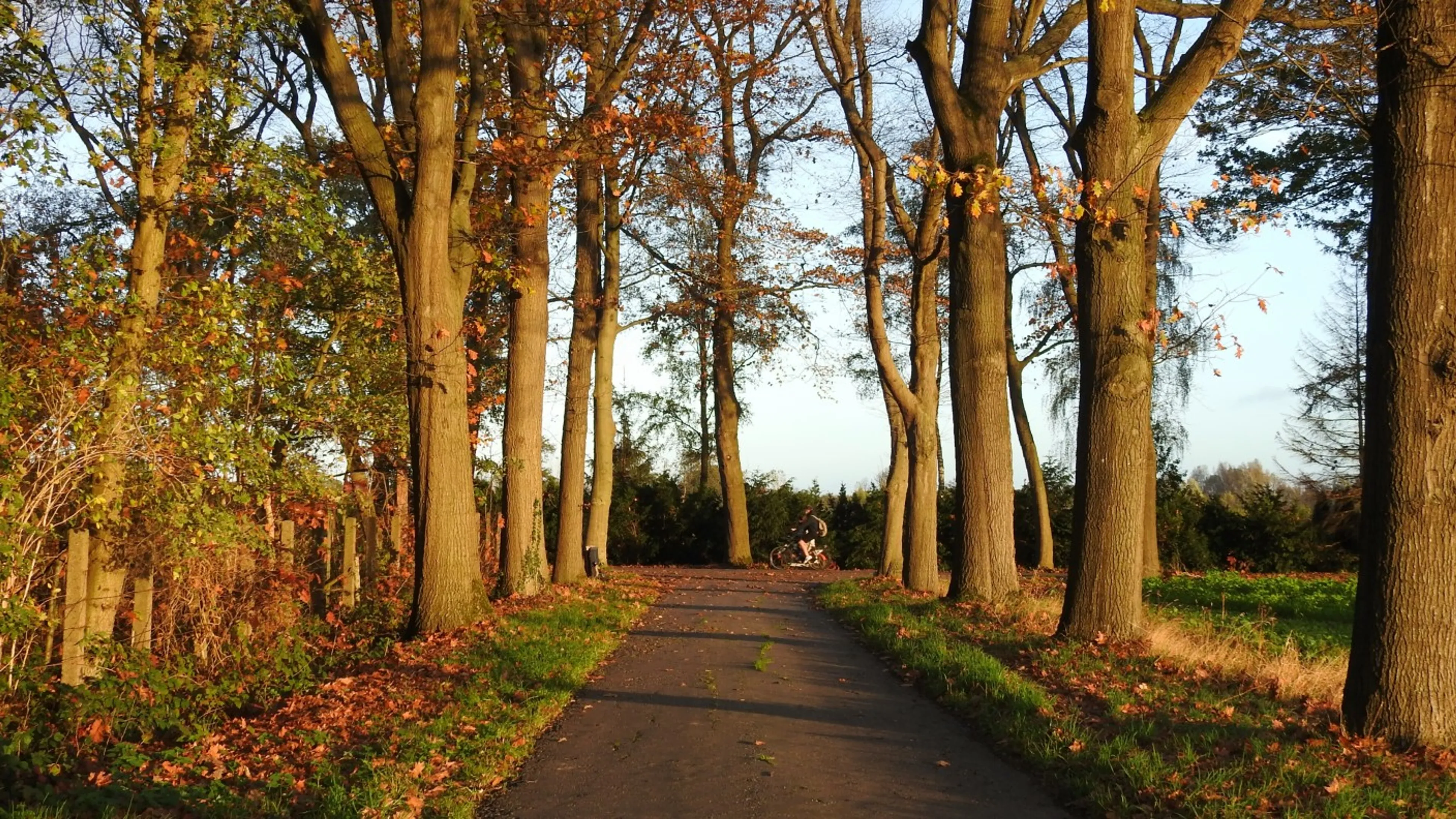 Wisselvallige dagen op komst, maar de zon laat zich geregeld zien