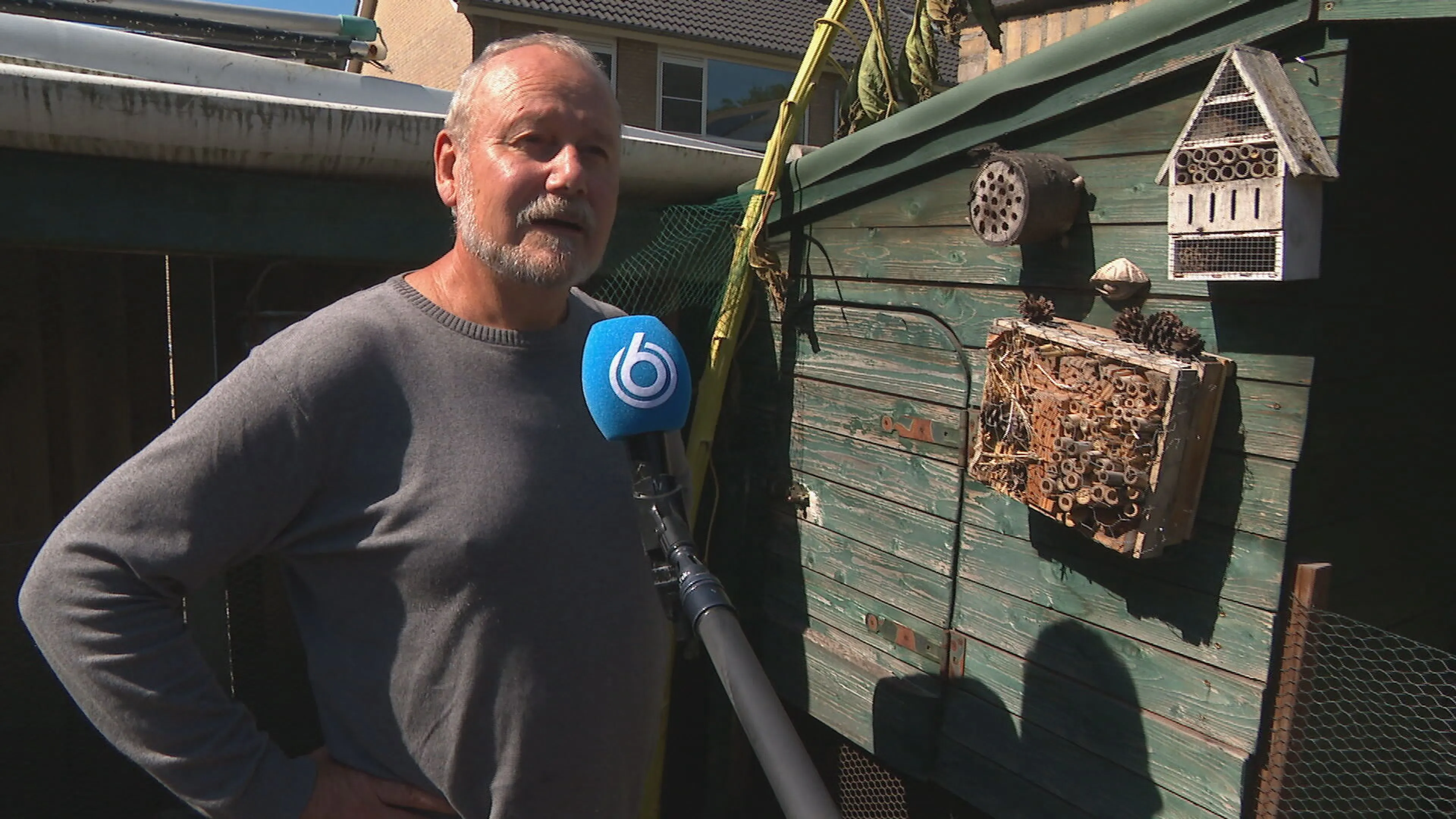 Jago uit Best lokt loslopende nerts met doodgebeten kip