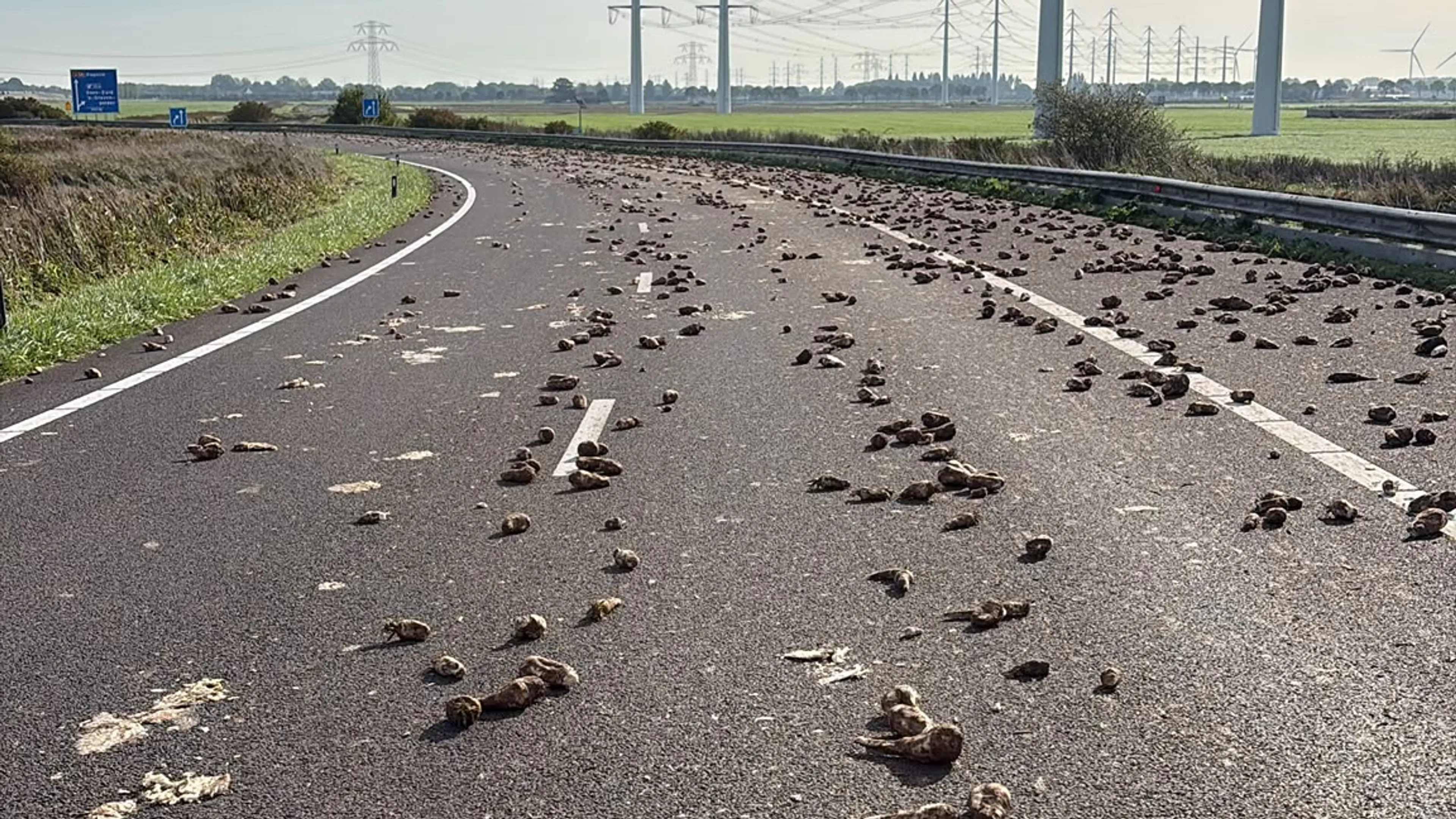 A256 bezaaid met bieten nadat vrachtwagen lading verliest